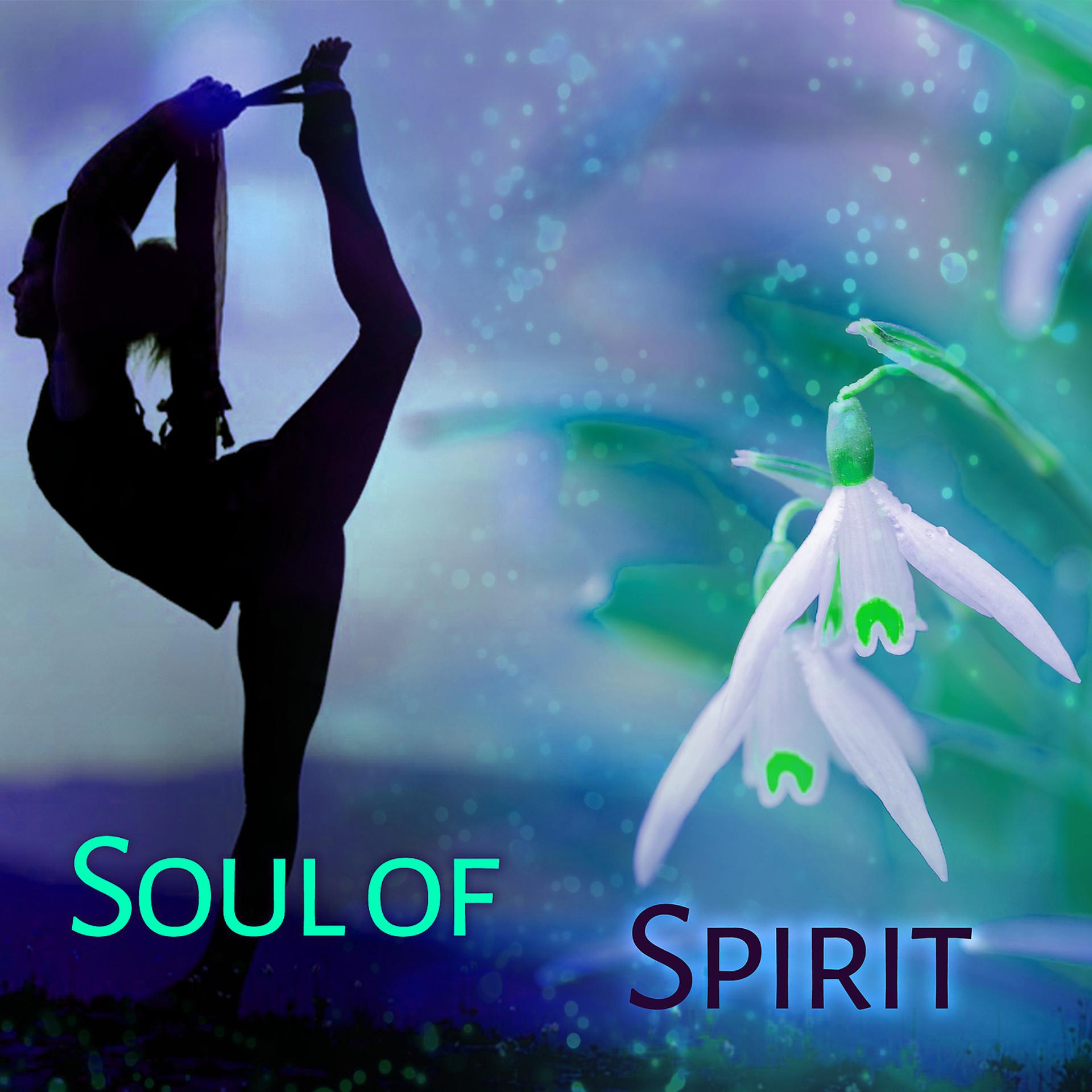 Постер альбома Soul of Spirit - Interesting Melody, Rhythm like Beating Heart, Interest in Buddhism, Yoga is a Way of Life, Wonderful Silence, Rest is the Most Important