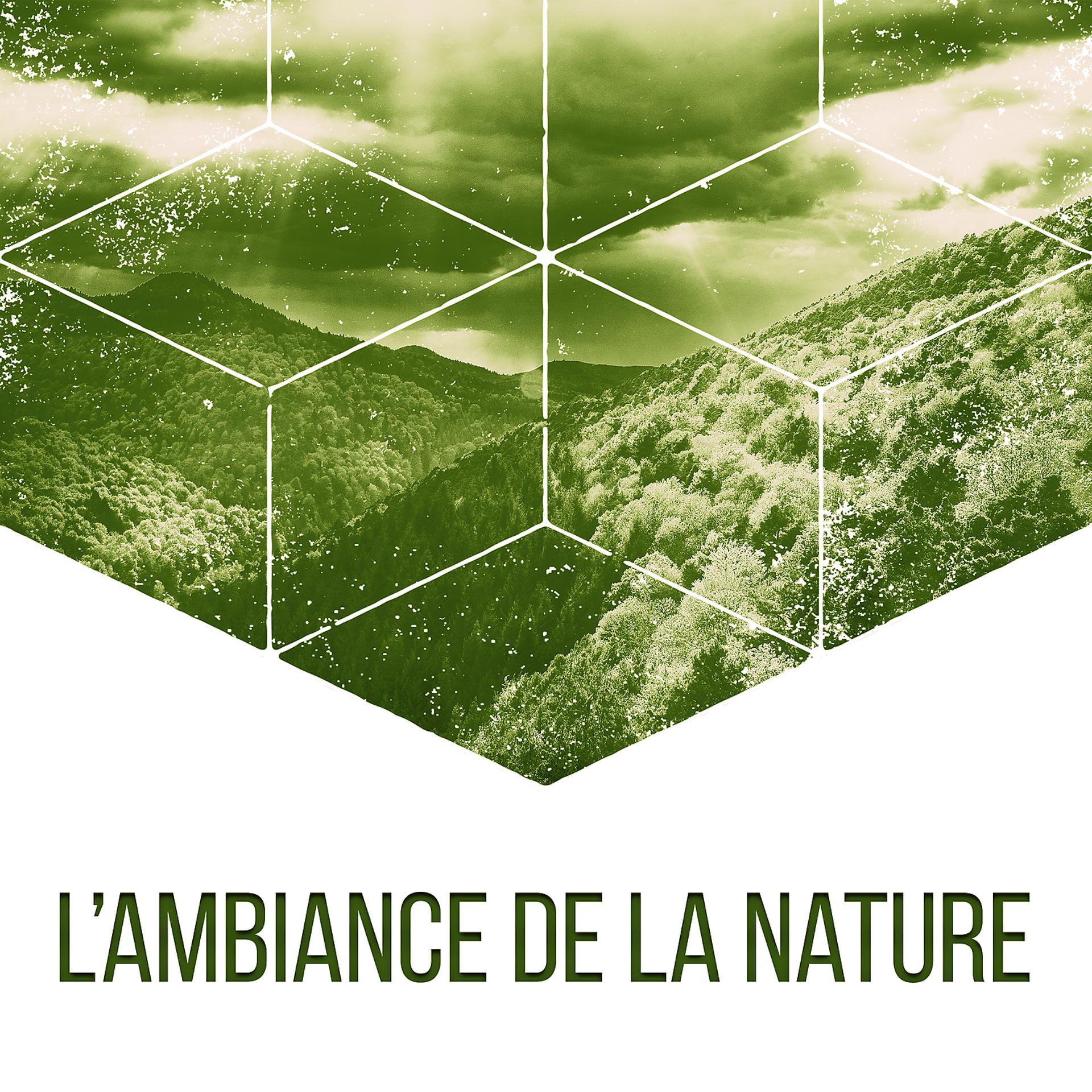 Постер альбома L’ambiance de la nature – Musique d’ambiance, Musique de la nature,  Détente et bien-être
