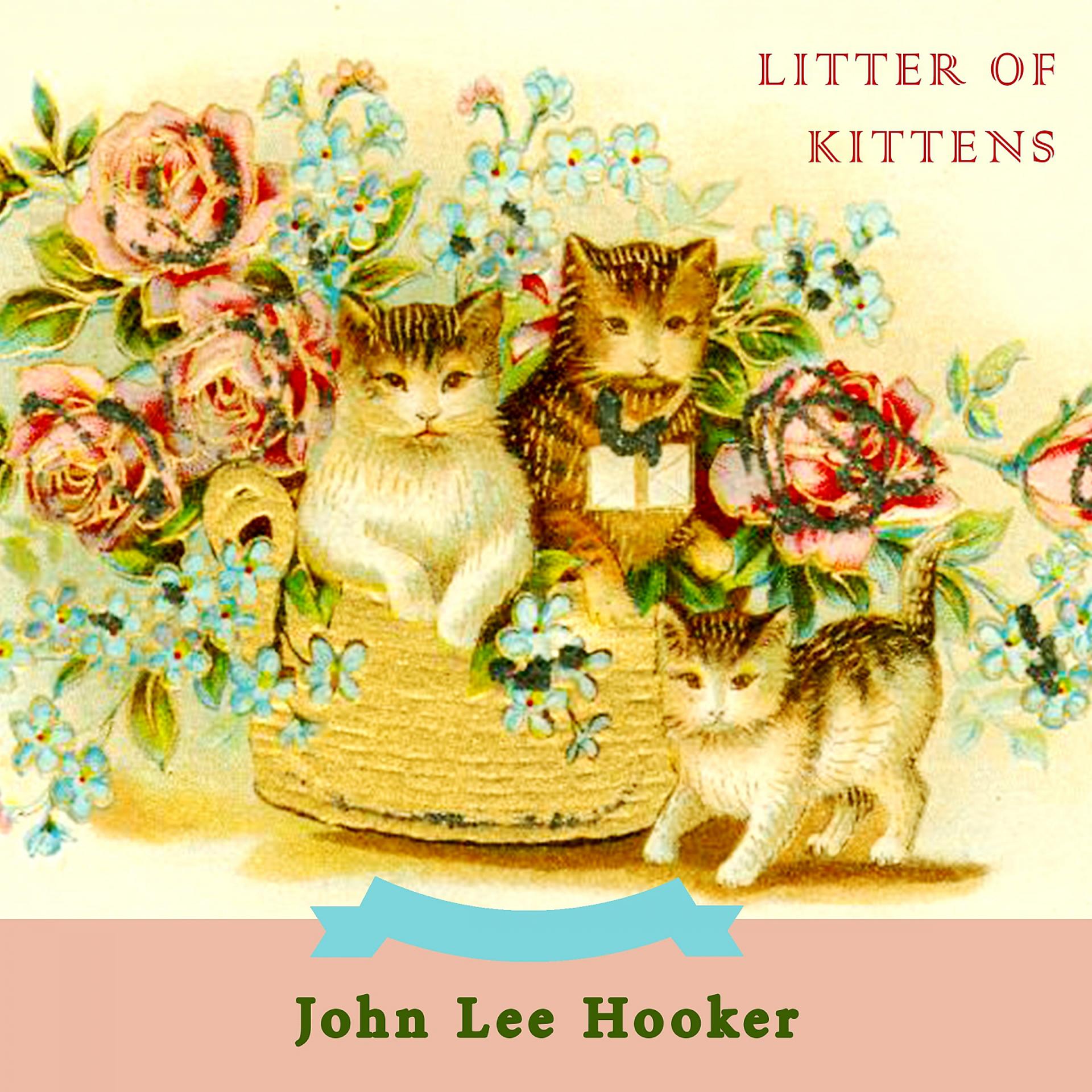 Постер альбома Litter Of Kittens