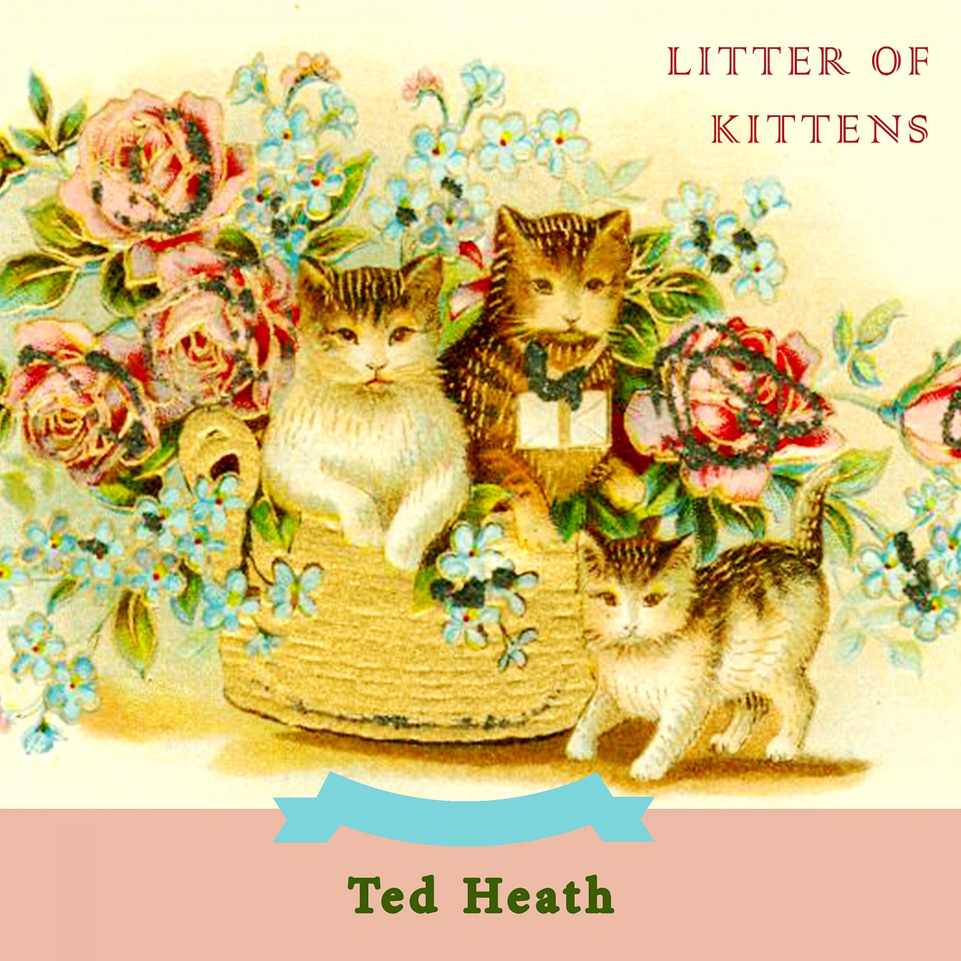 Постер альбома Litter Of Kittens