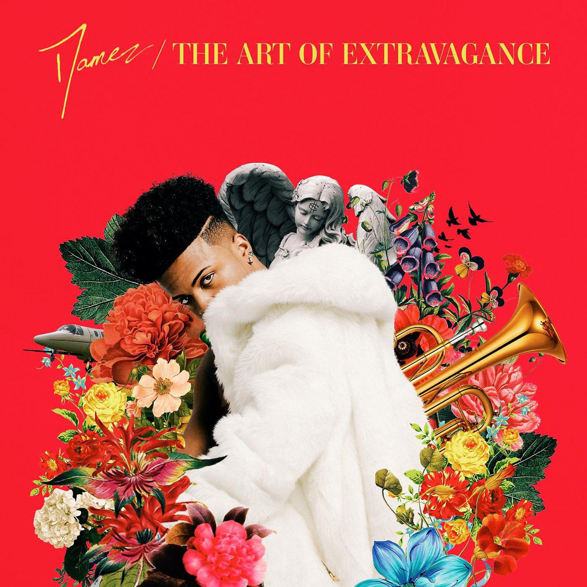 Постер альбома The Art of Extravagance (Edited Version)