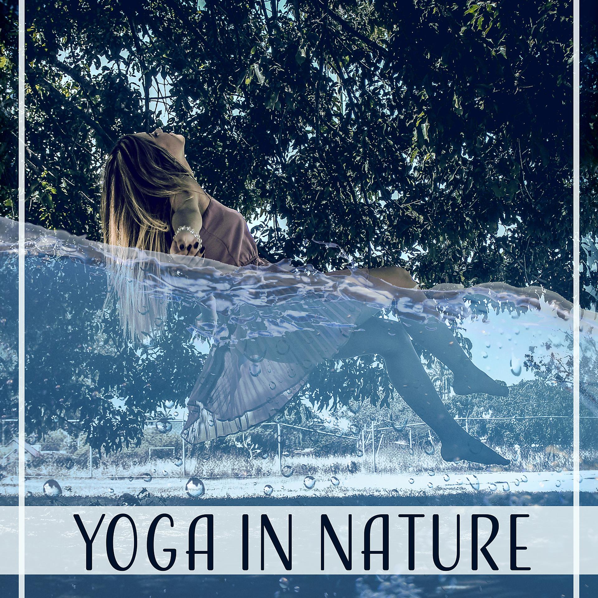 Постер альбома Yoga in Nature - Feel the Soothing Sounds, Deep Relaxation for Body and Mind, Morning Workout Yoga, Spiritual Meditation