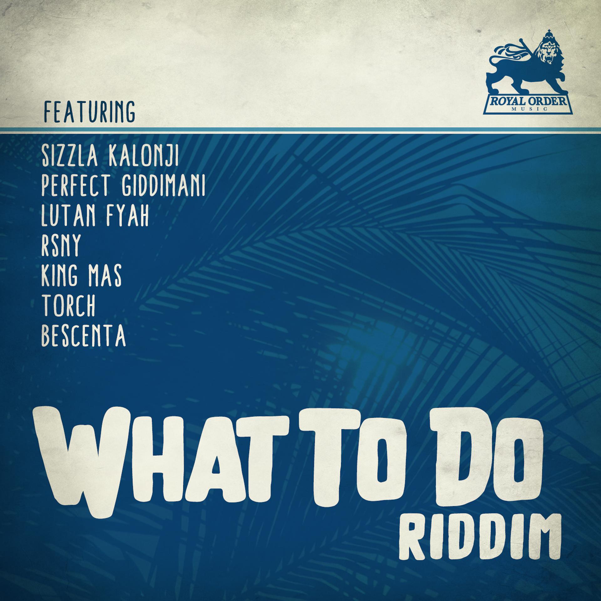 Постер альбома What to Do Riddim