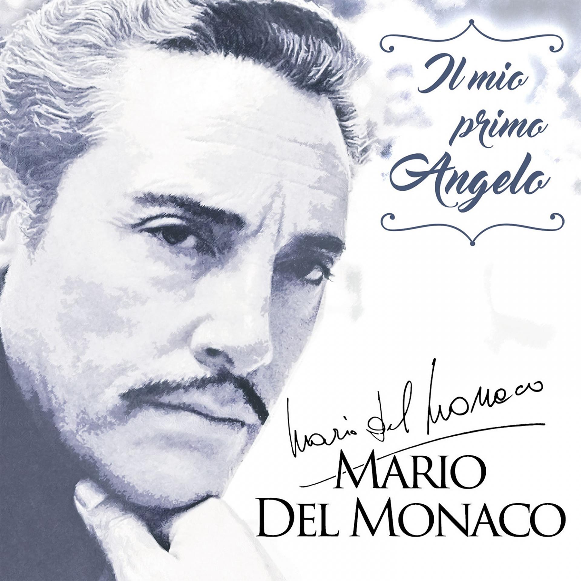 Постер альбома Il mio primo Angelo