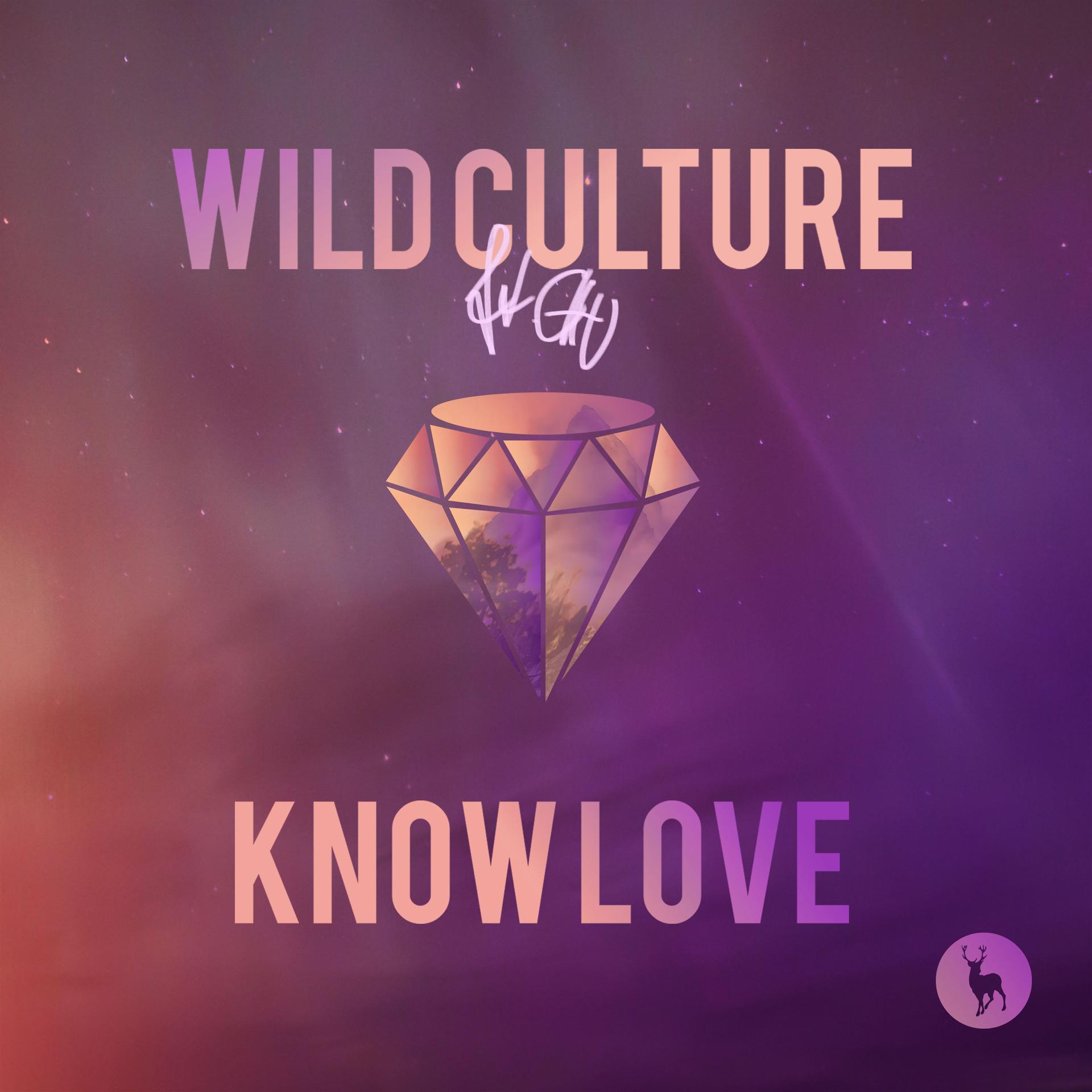 Постер альбома Know Love (Remixes) [feat. Chu]
