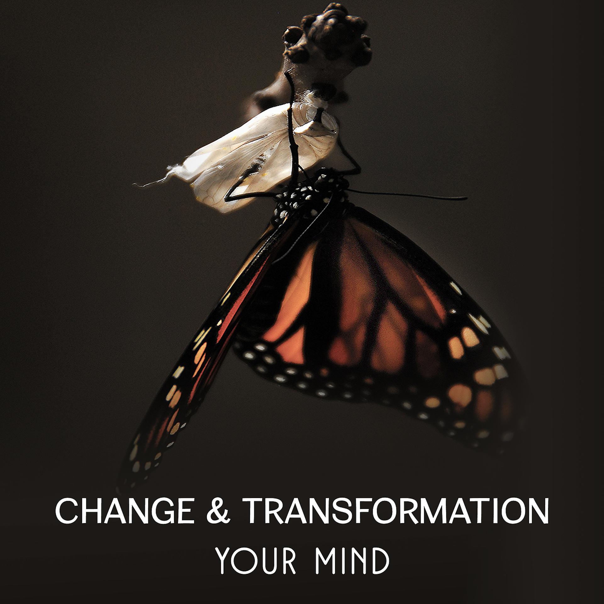 Постер альбома Change & Transformation Your Mind – Motivation Music for Moment of Creative Bliss, Live Your Life, True Nature of Human Emotions