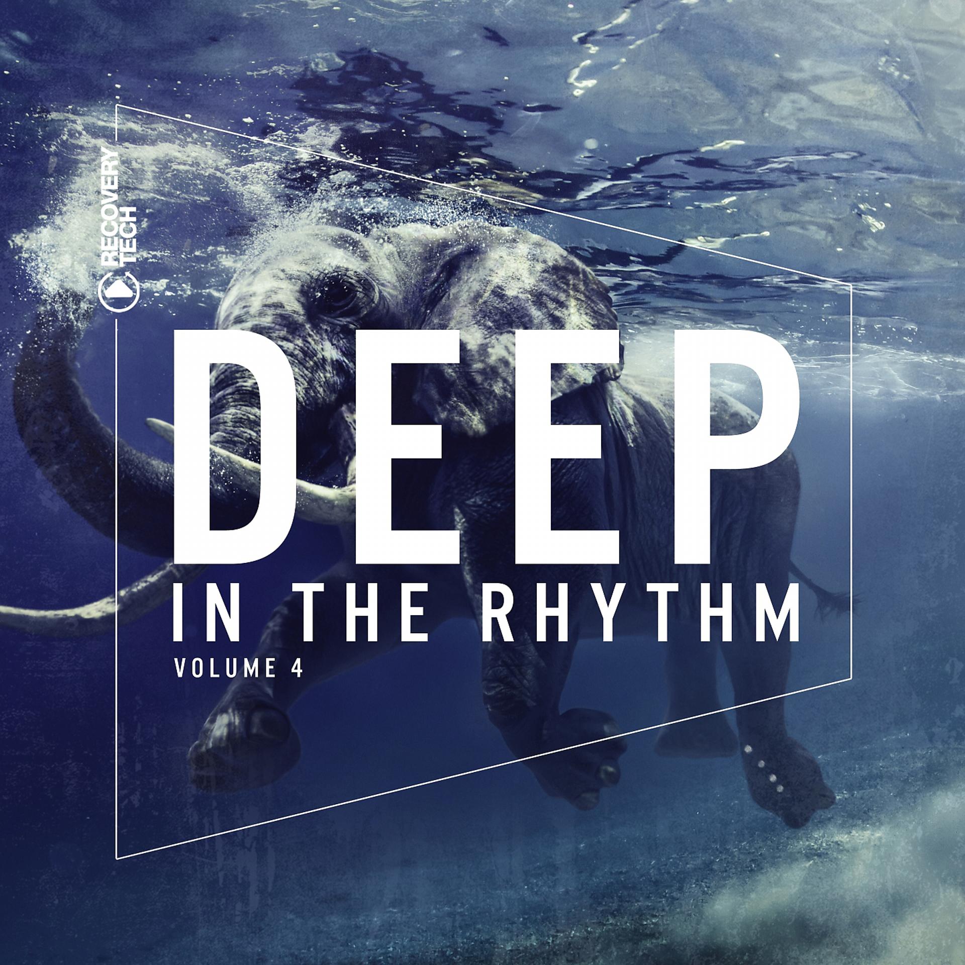 Постер альбома Deep In the Rhythm, Vol. 4
