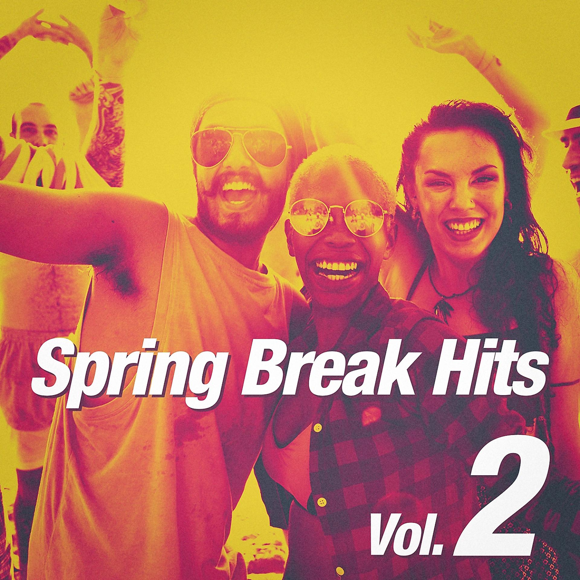 Постер альбома Spring Break Hits, Vol. 2