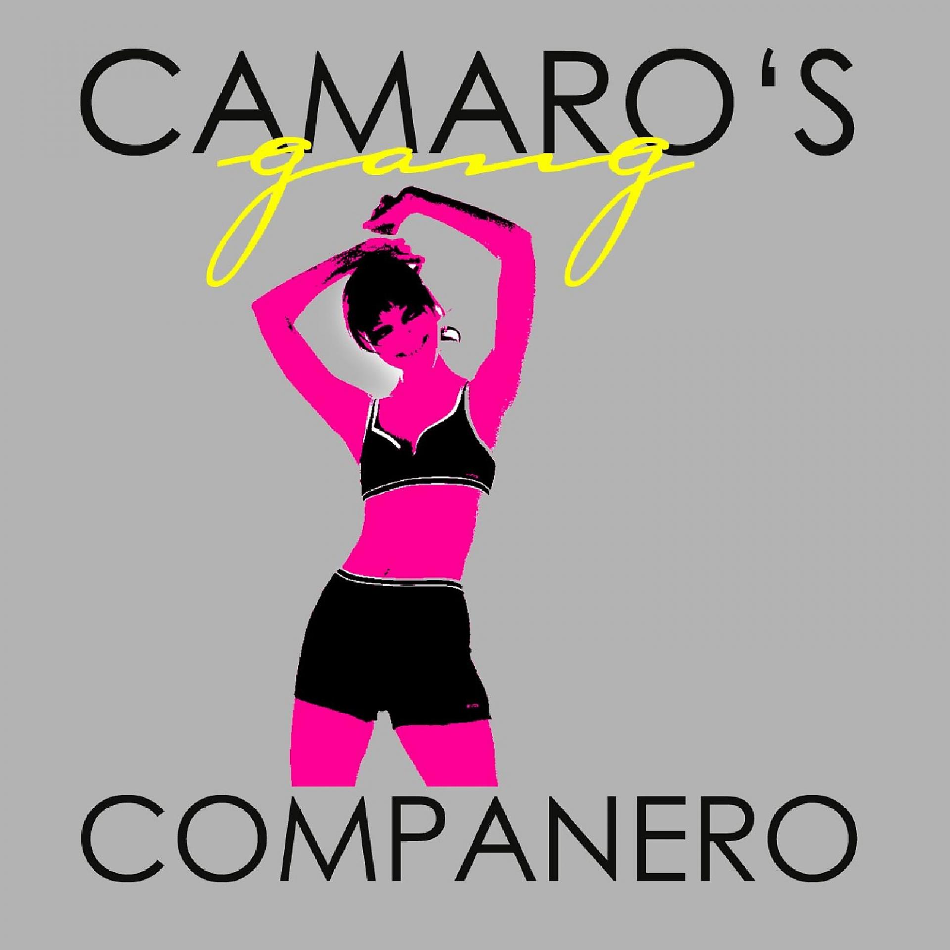 Постер альбома Companero