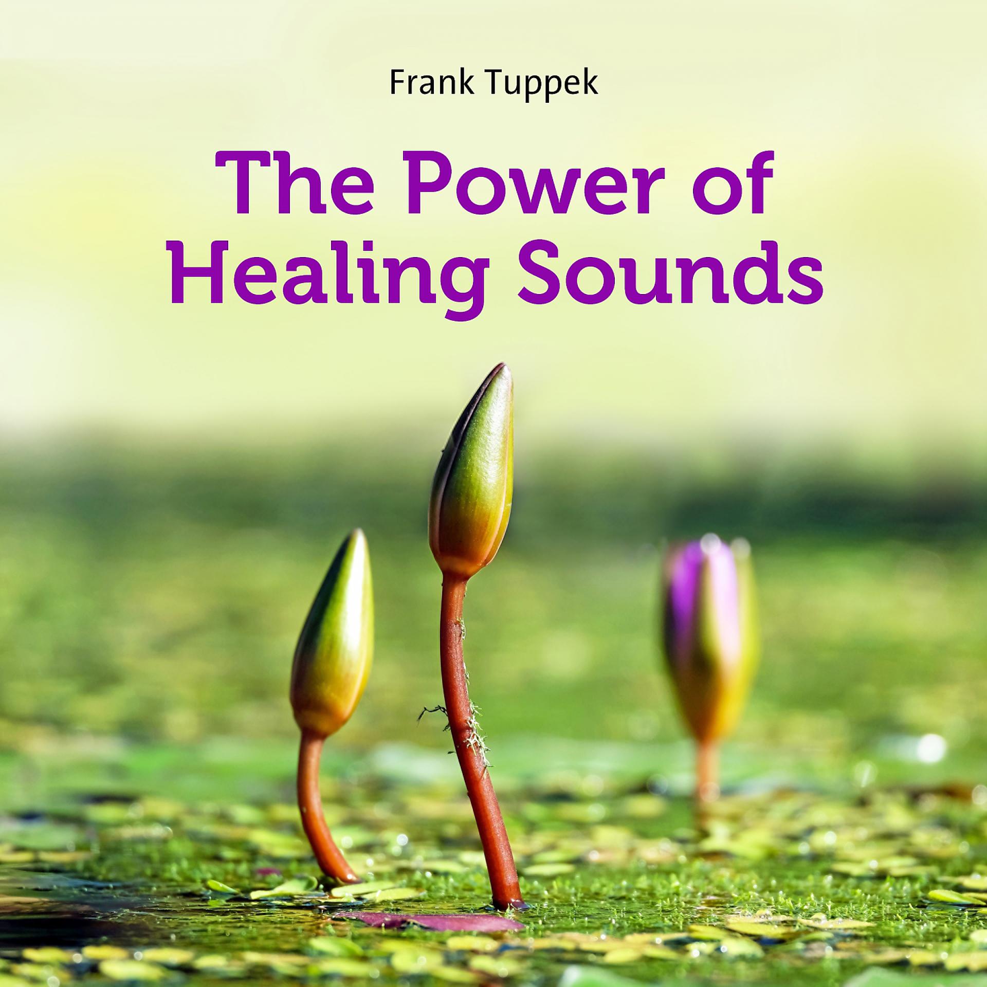 Постер альбома The power of healing sounds
