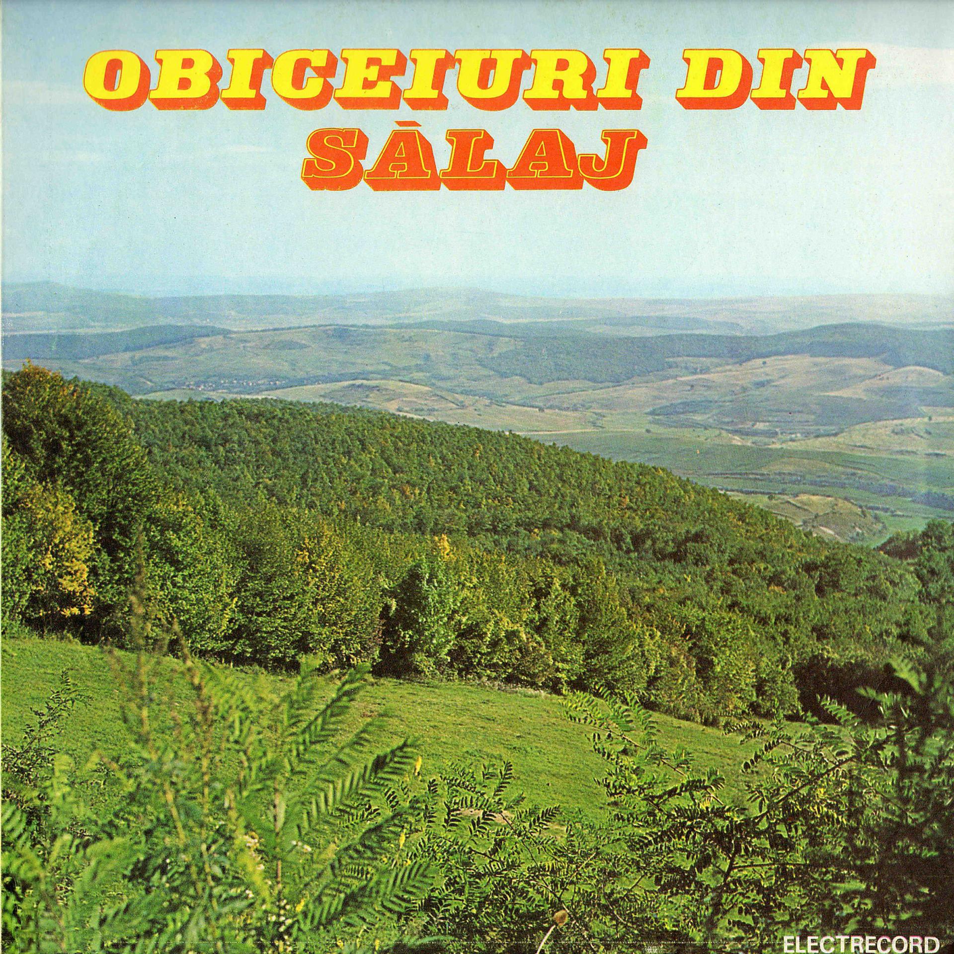 Постер альбома Obiceiuri Din Sălaj