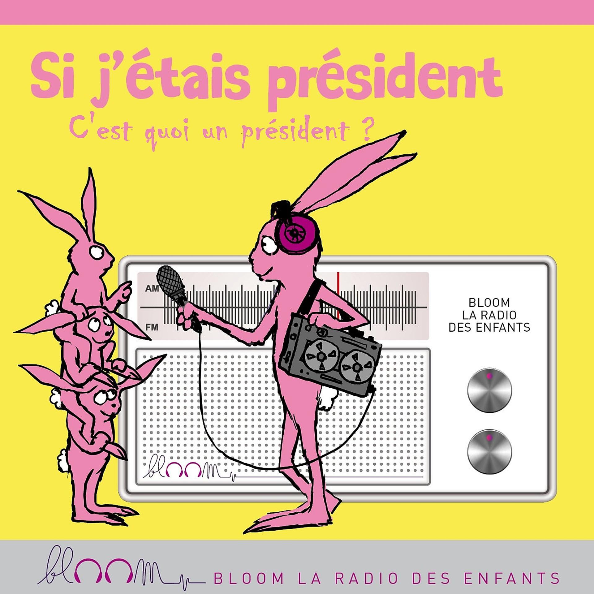 Постер альбома Voter pour un président