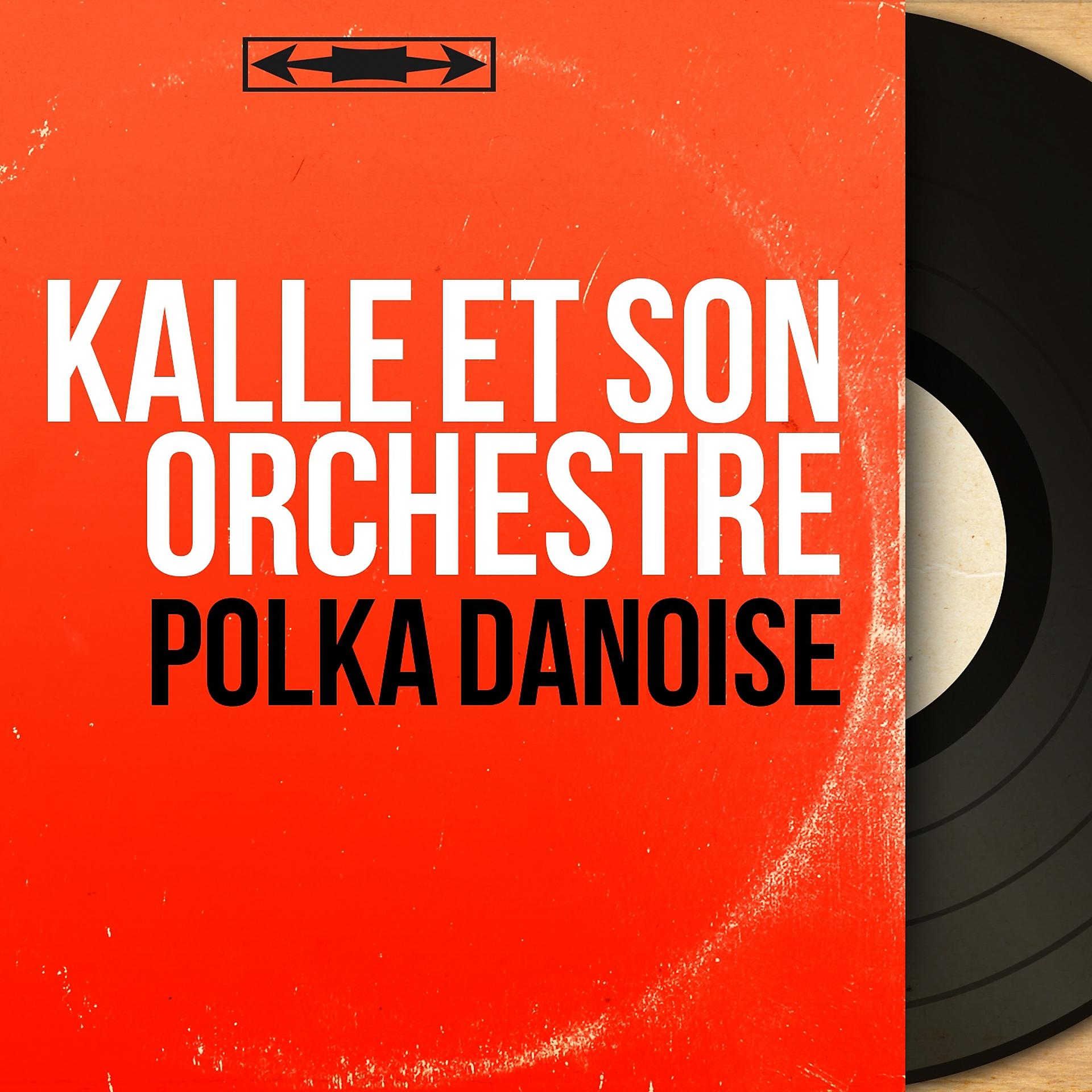 Постер альбома Polka danoise
