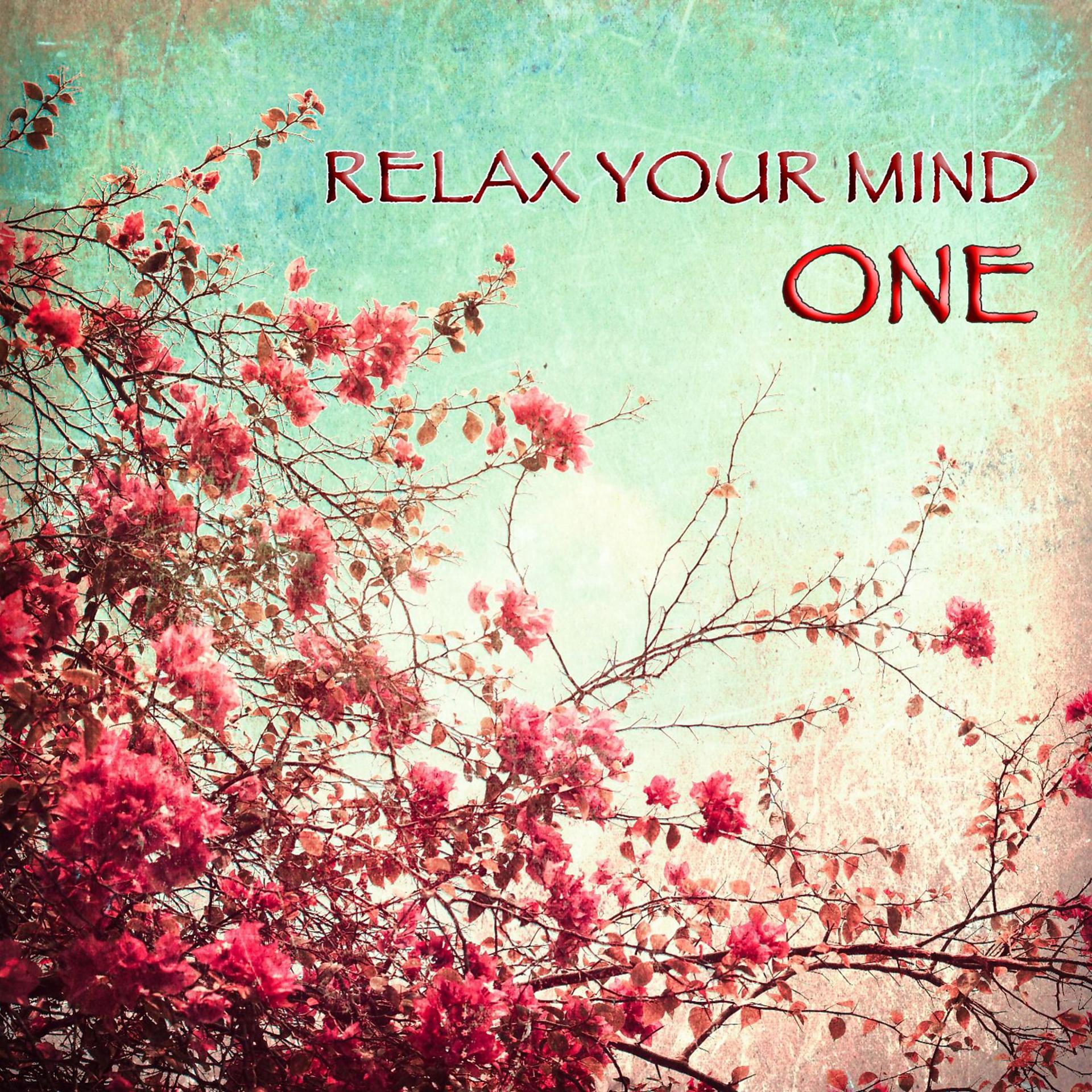 Постер альбома Relax Your Mind One
