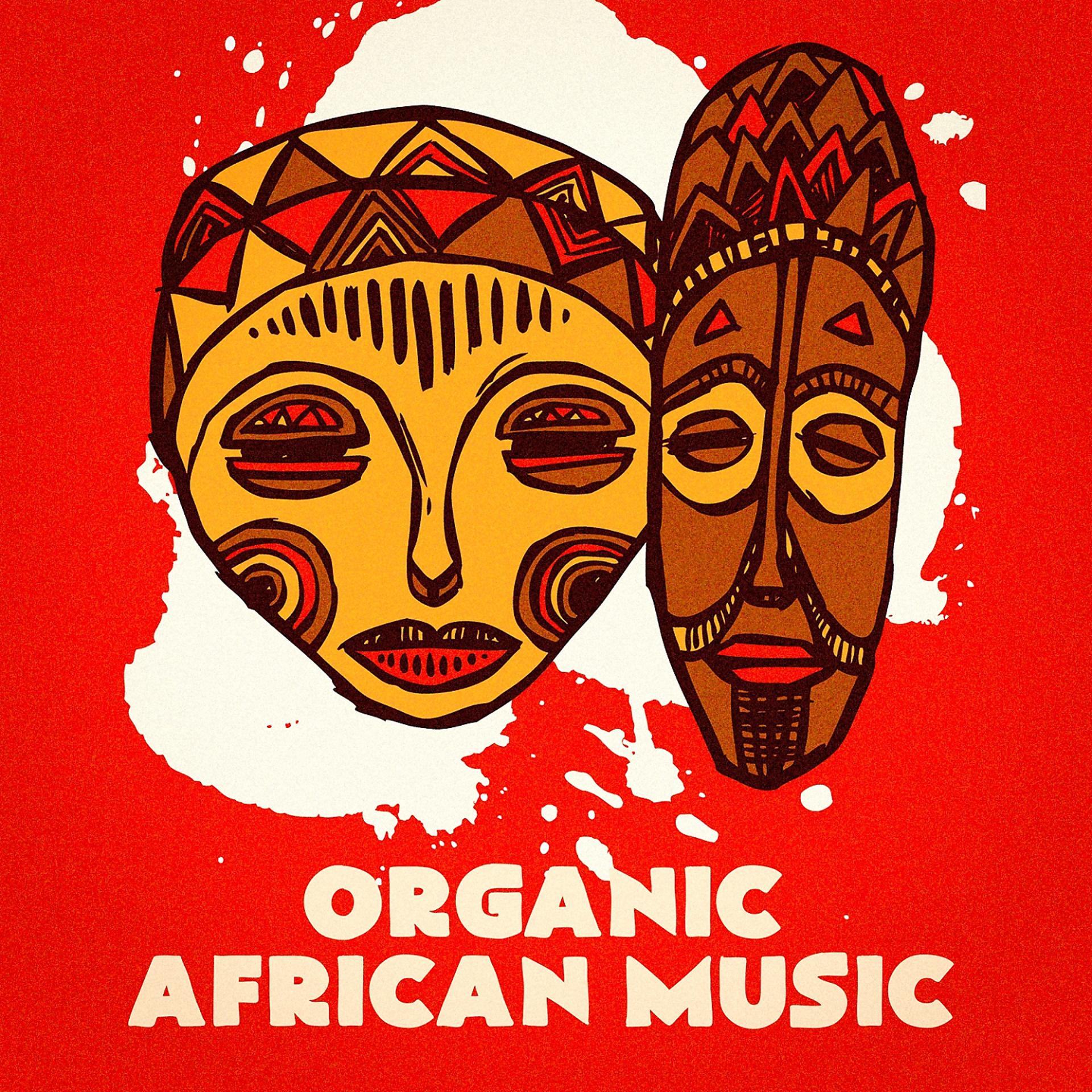 Постер альбома Organic African Music