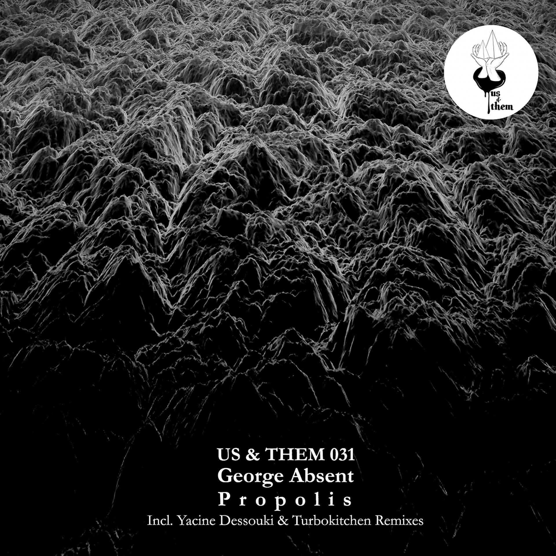 Постер альбома Propolis