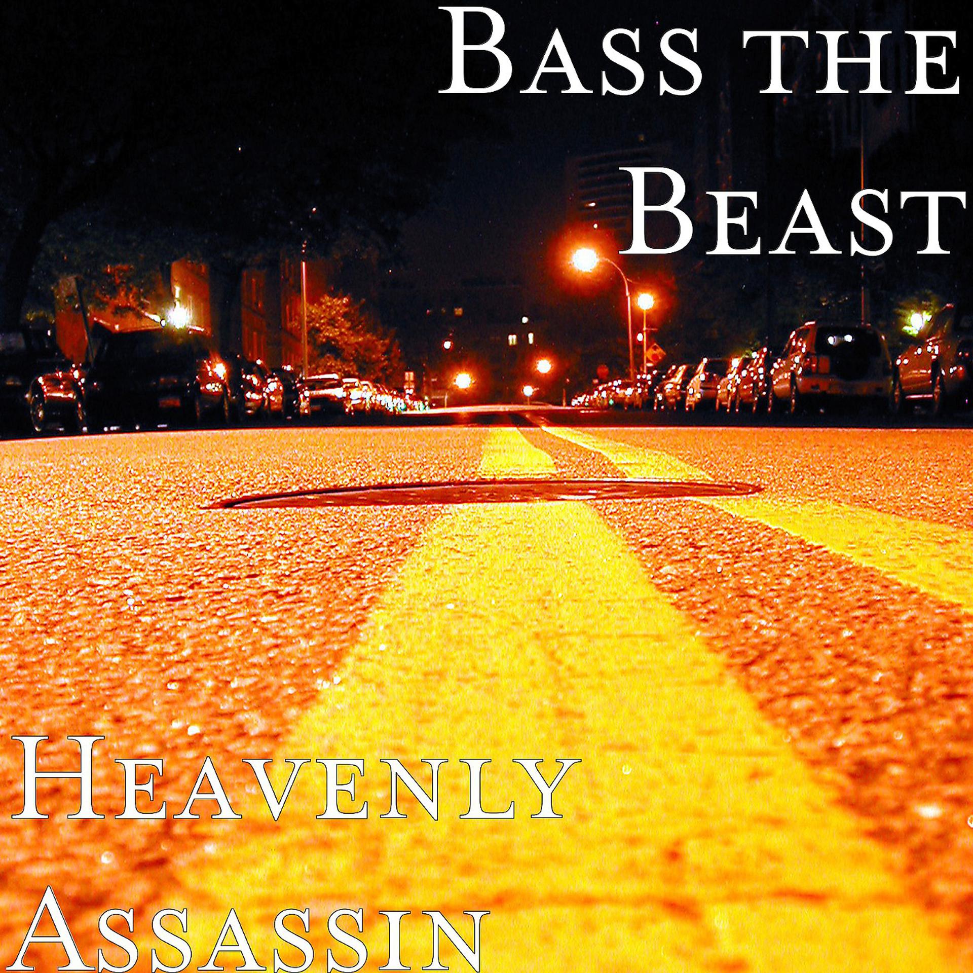 Постер альбома Heavenly Assassin
