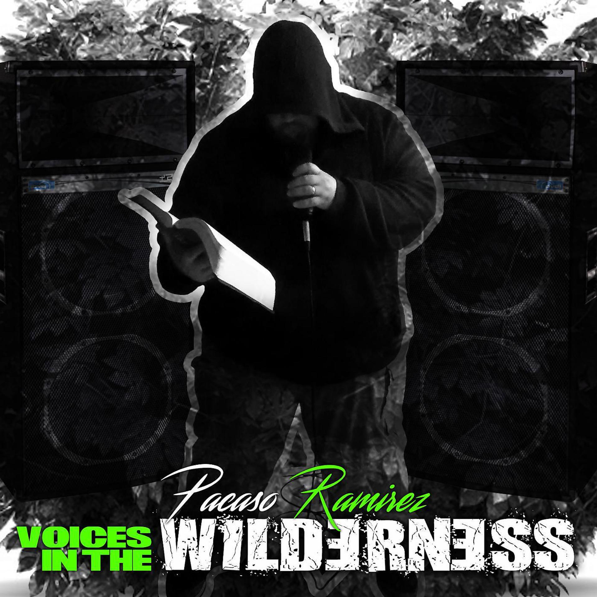 Постер альбома Voices in the Wilderness