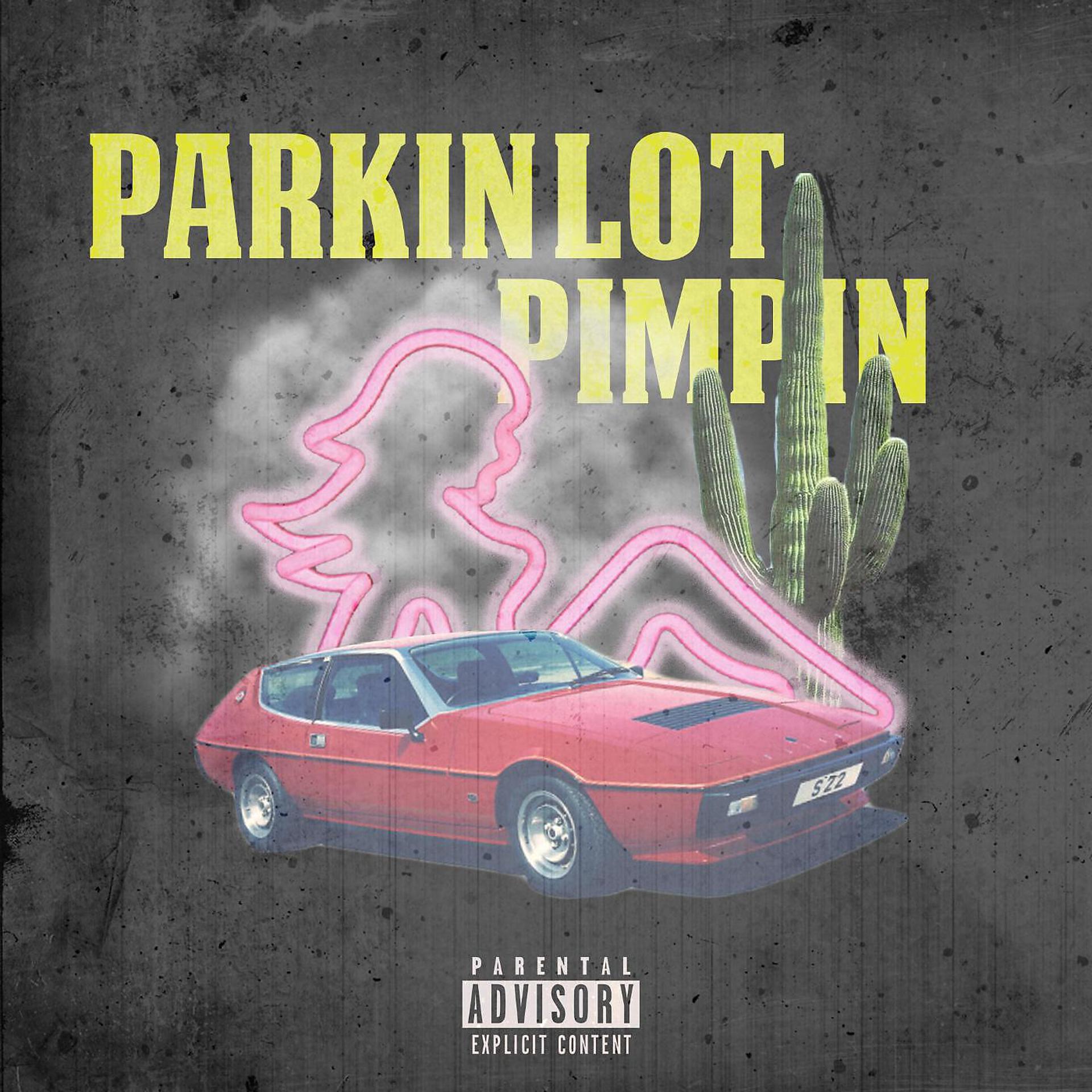 Постер альбома ParkinLotPimpin'