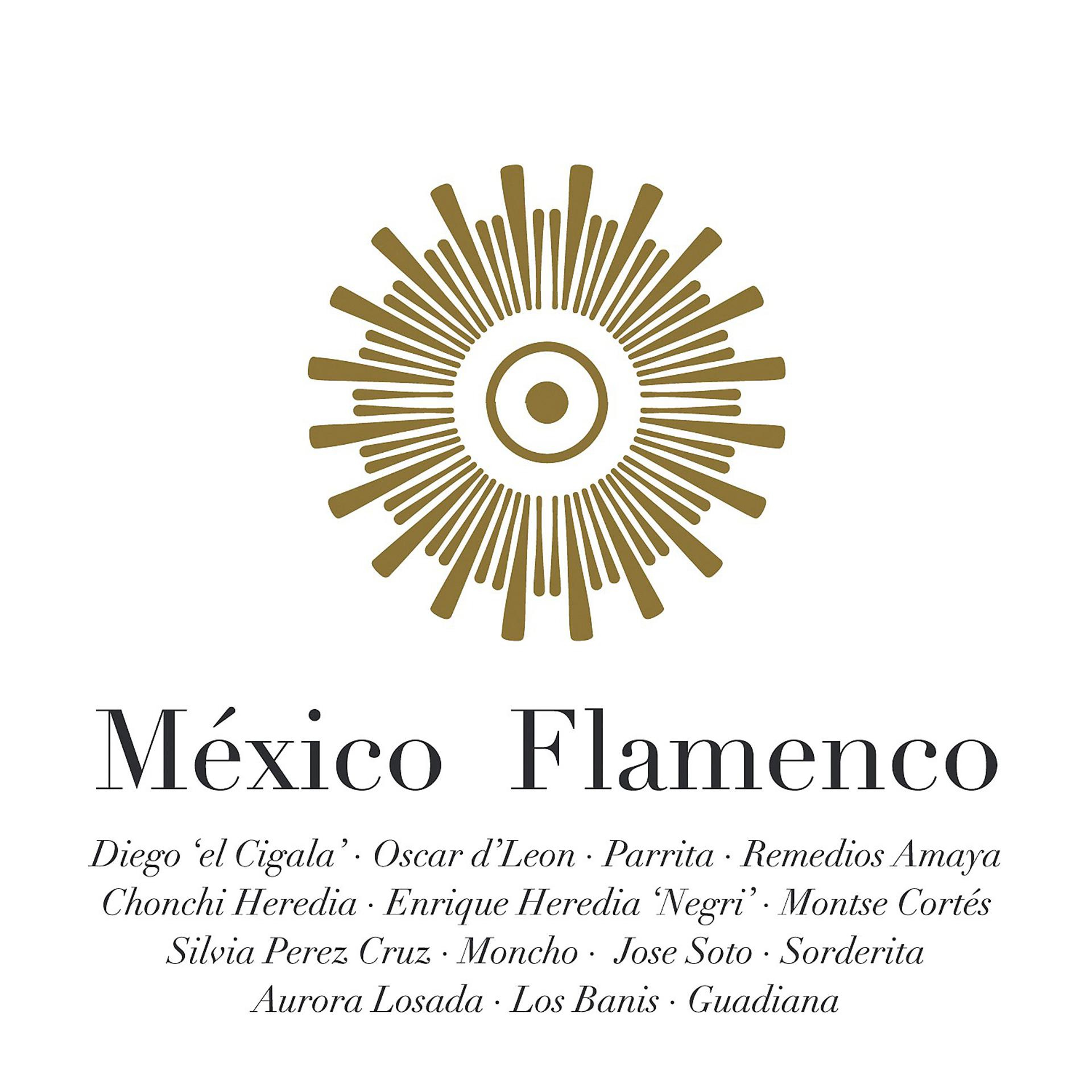 Постер альбома México Flamenco