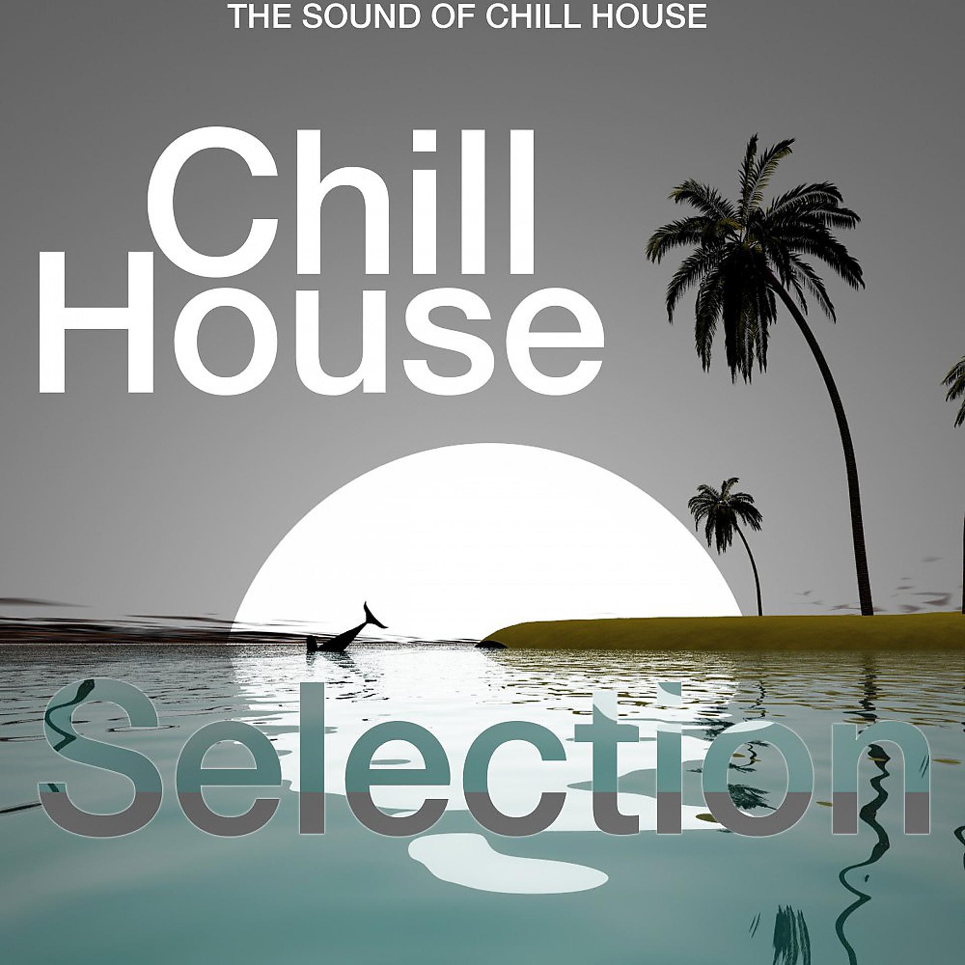 Постер альбома Chill House Selection (The Sound of Chill House)