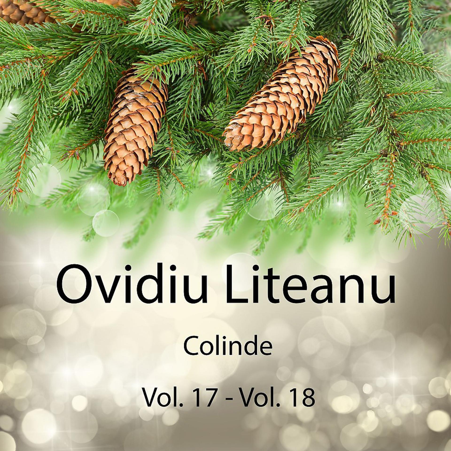 Постер альбома Colinde, Vol. 17 - Vol. 18