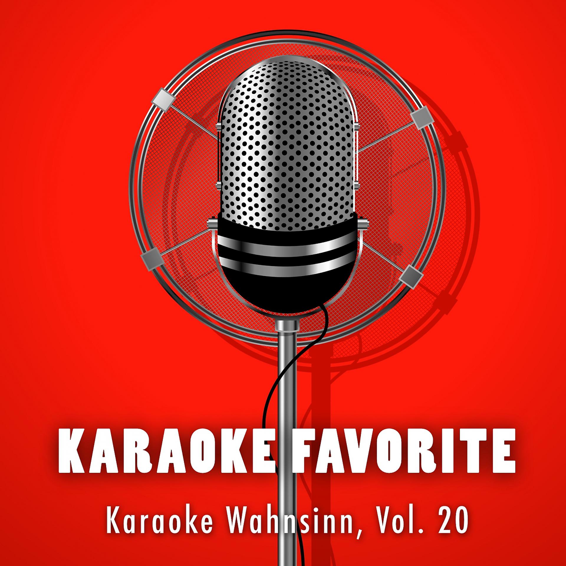 Постер альбома Karaoke Wahnsinn, Vol. 20