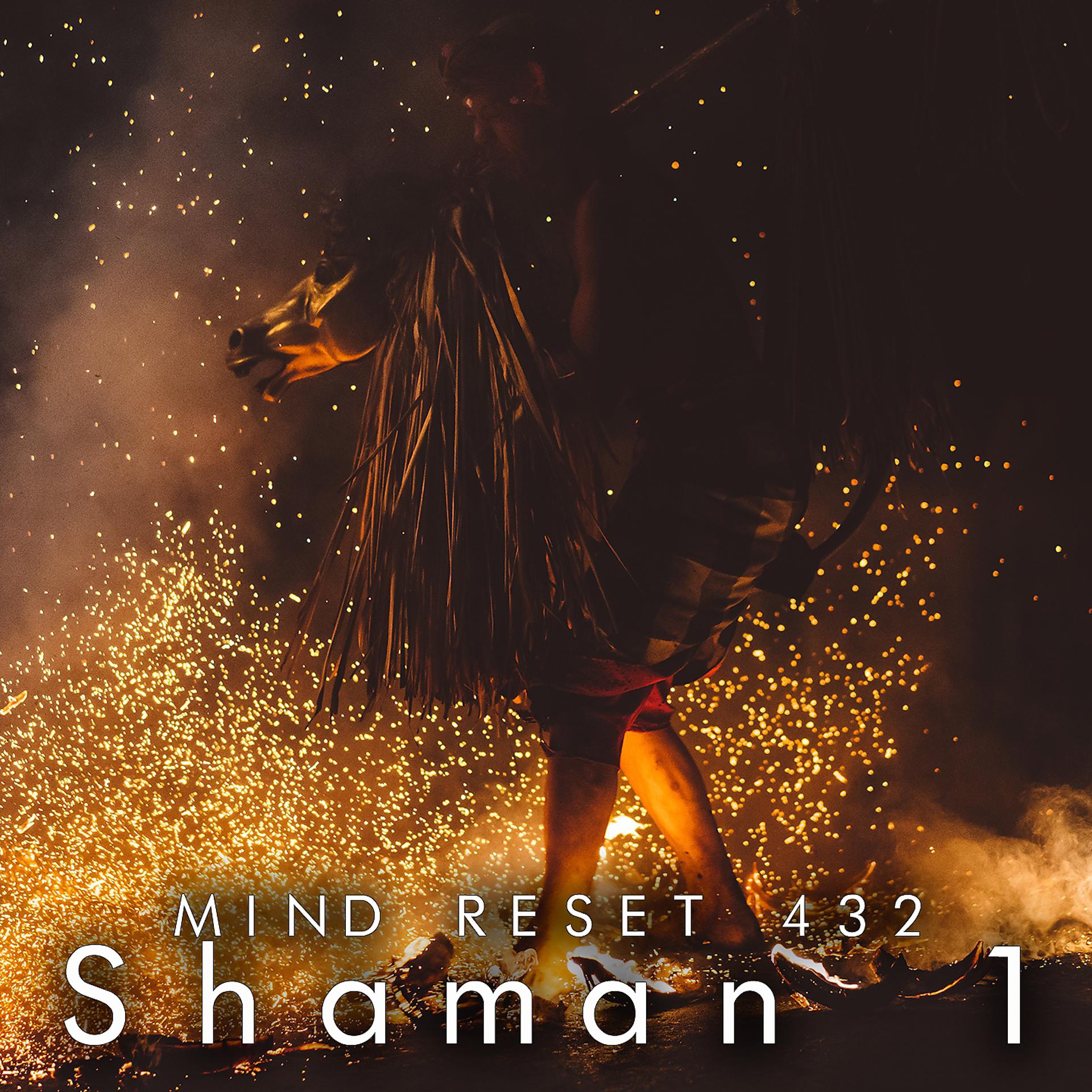 Постер альбома Shaman 1