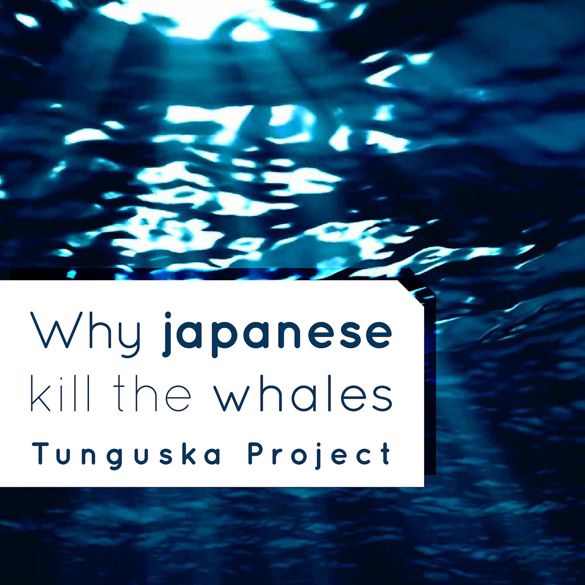 Постер альбома Why Japanese Kill the Whales