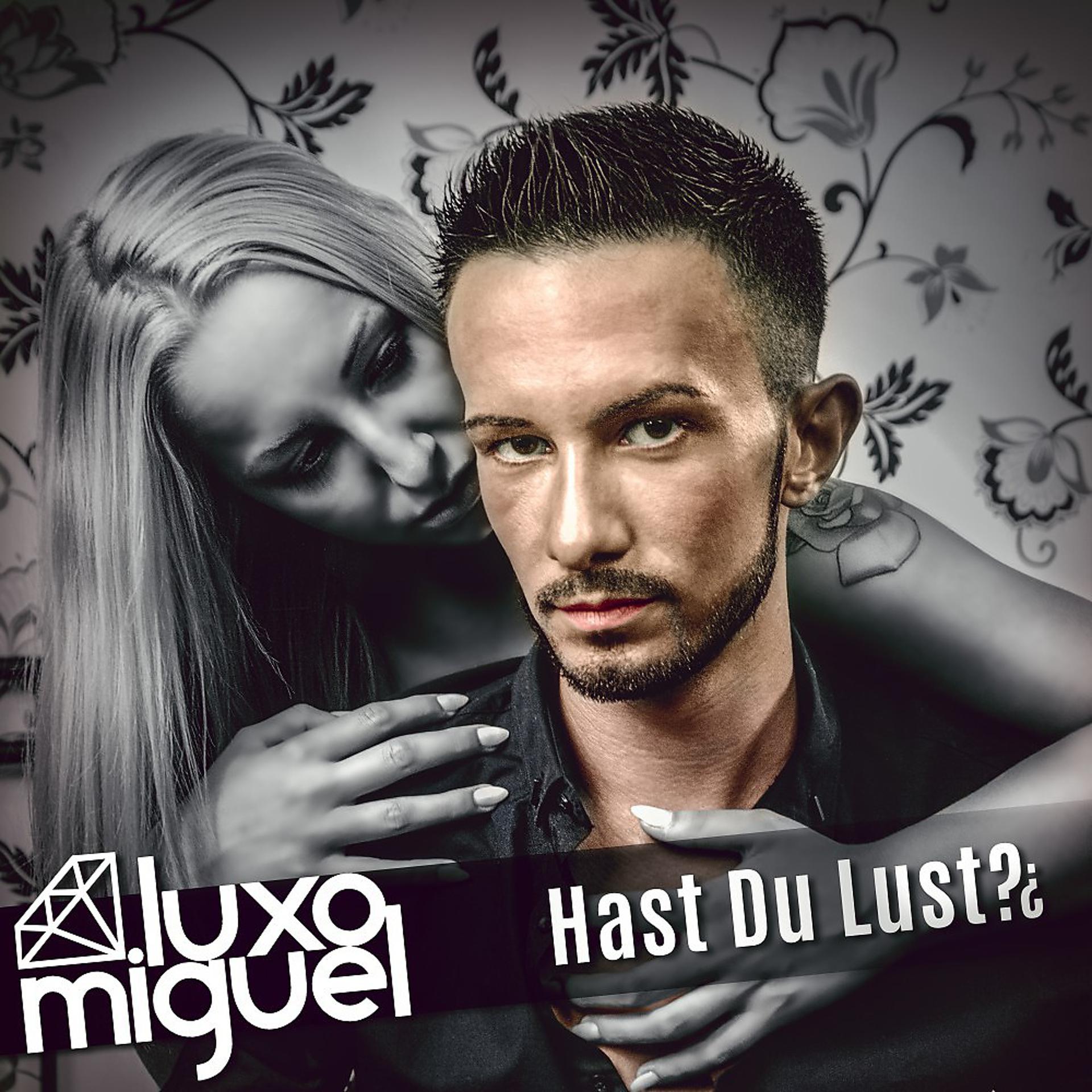 Постер альбома Hast Du Lust?