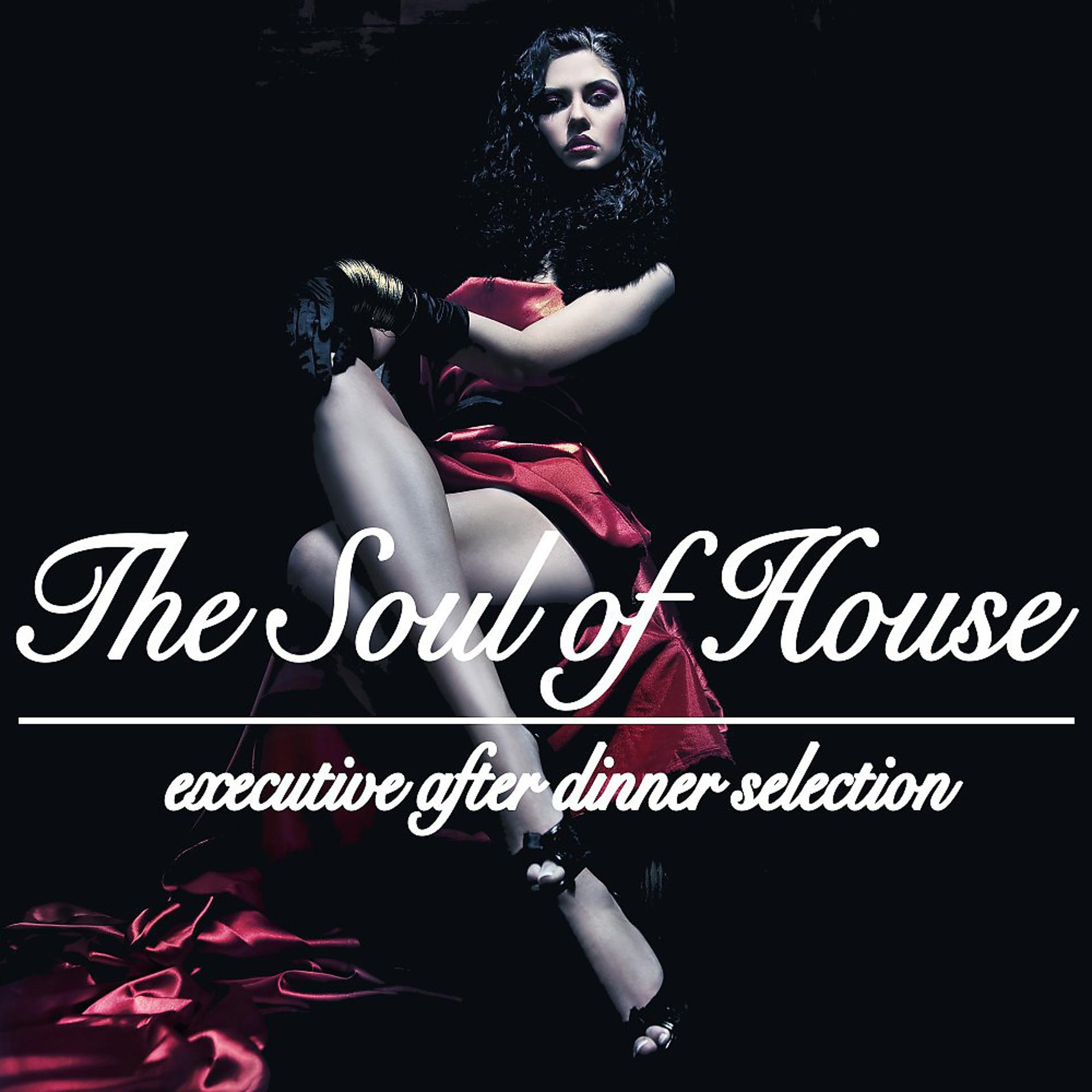Постер альбома The Soul of House (Executive After Dinner Selection)