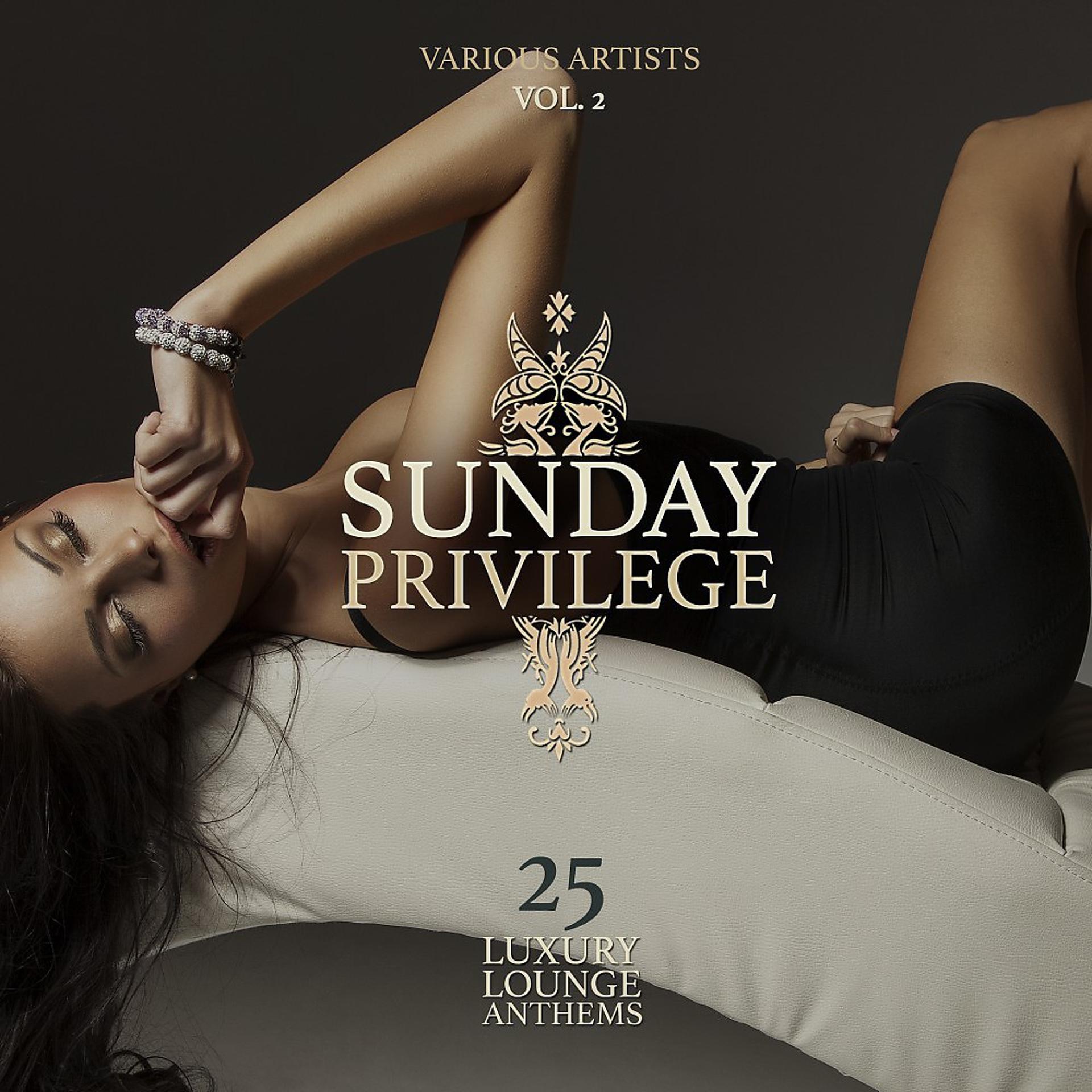 Постер альбома Sunday Privilege, Vol. 2 (25 Luxury Lounge Anthems)