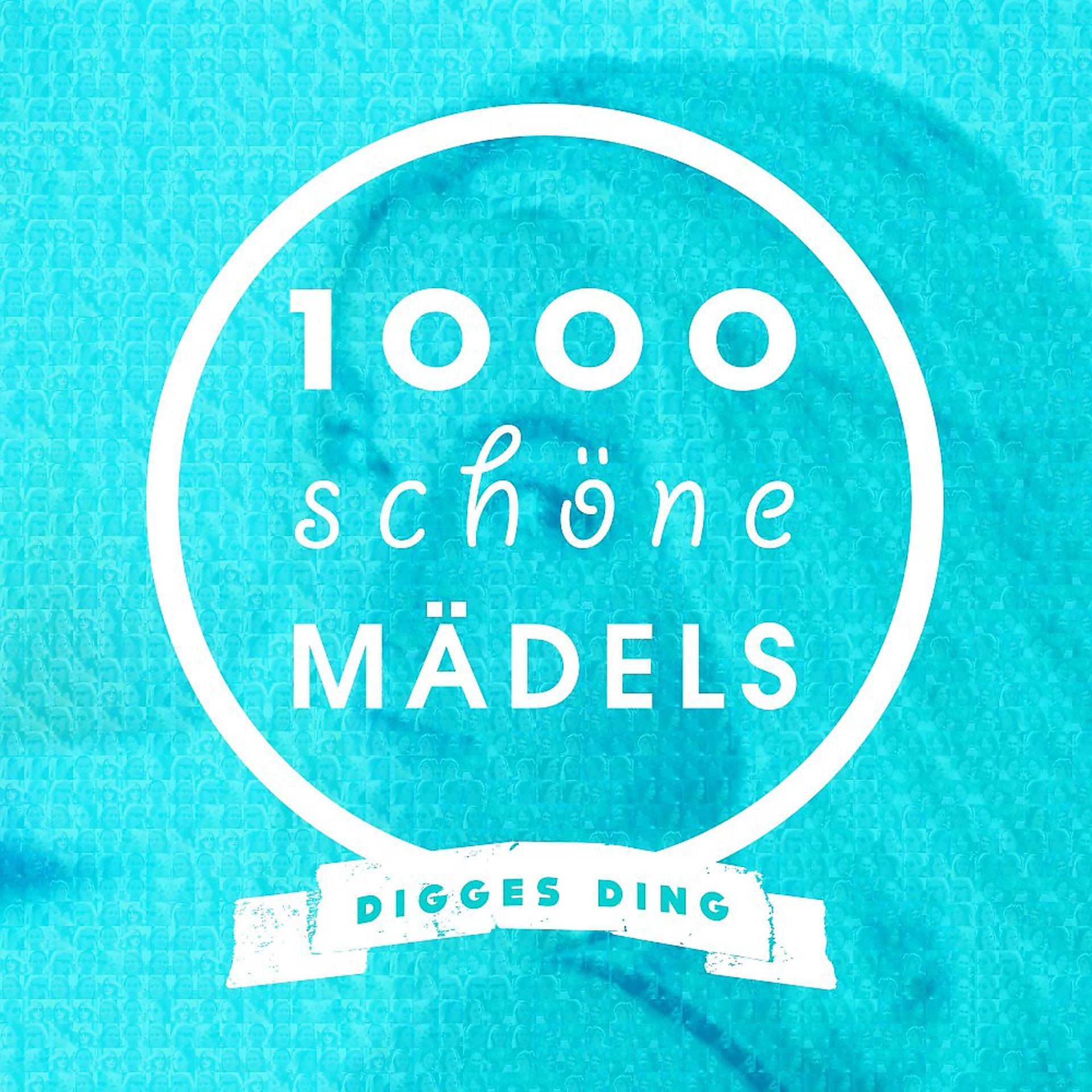 Постер альбома 1000 schöne Mädels