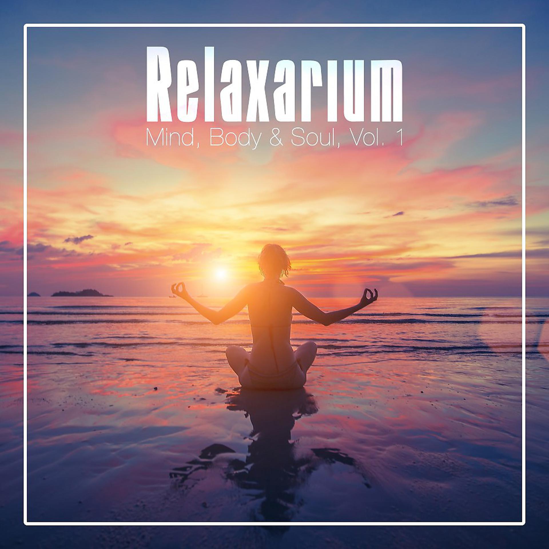 Постер альбома Relaxarium - Mind, Body & Soul, Vol. 1