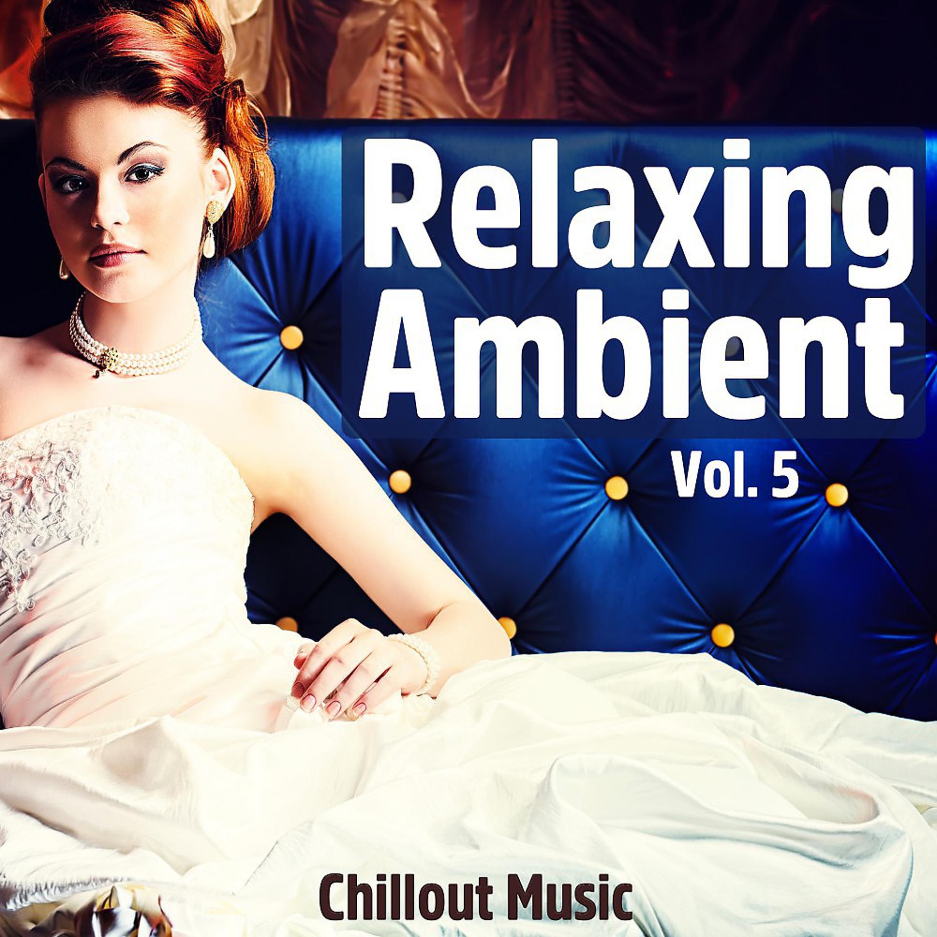 Постер альбома Relaxing Ambient, Vol. 5 (Chillout Music)