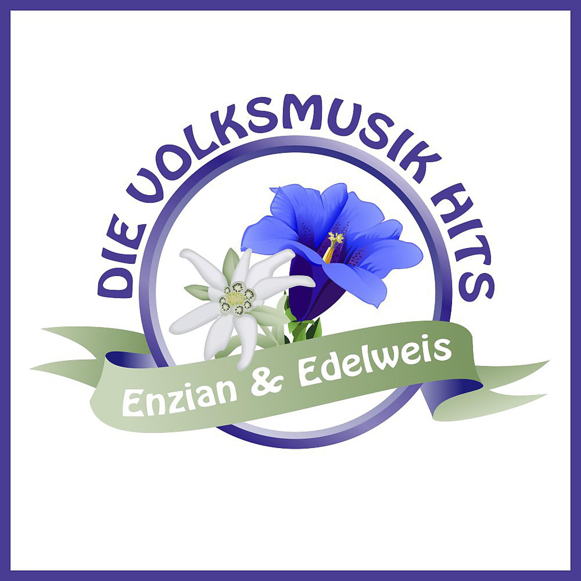 Постер альбома Enzian & Edelweiß: Die Volksmusik Hits