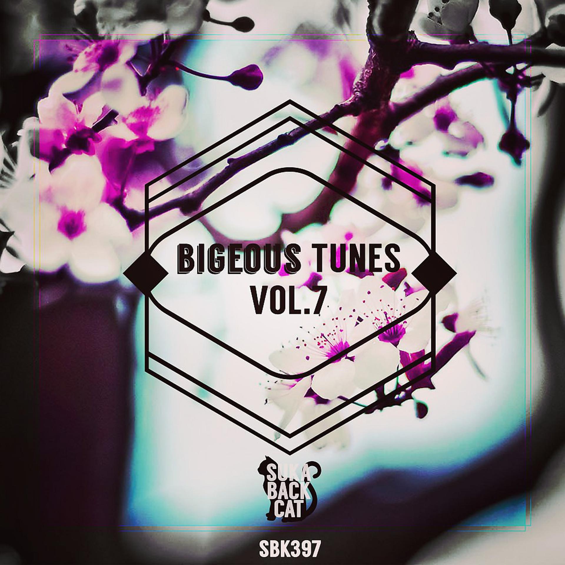 Постер альбома Bigeous Tunes, Vol. 7