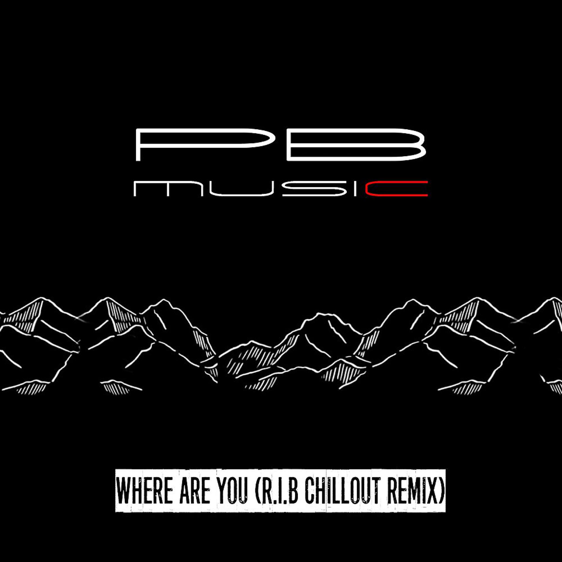 Постер альбома Where Are You (R.I.B Chillout Remix)