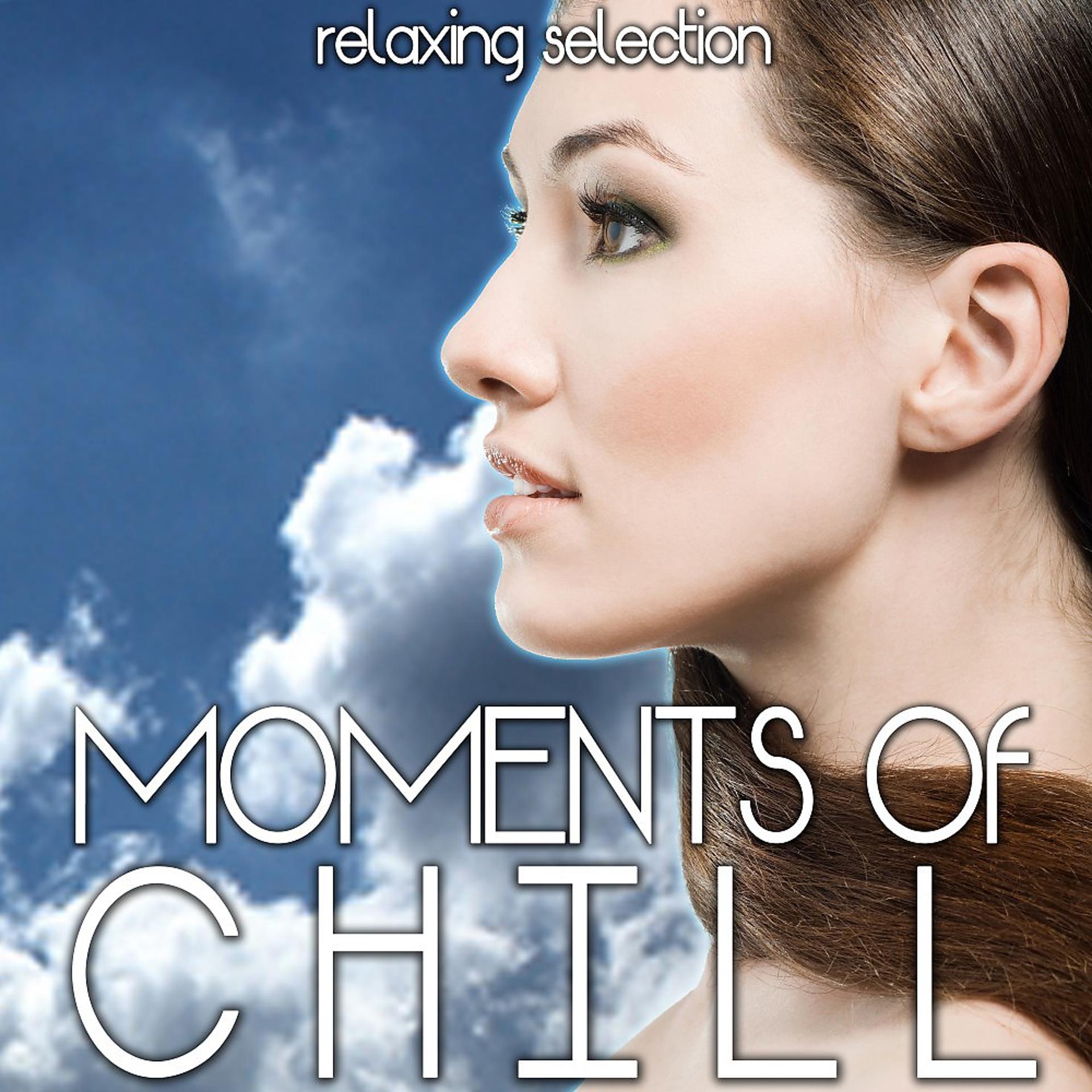 Постер альбома Moments of Chill (Relaxing Selection)