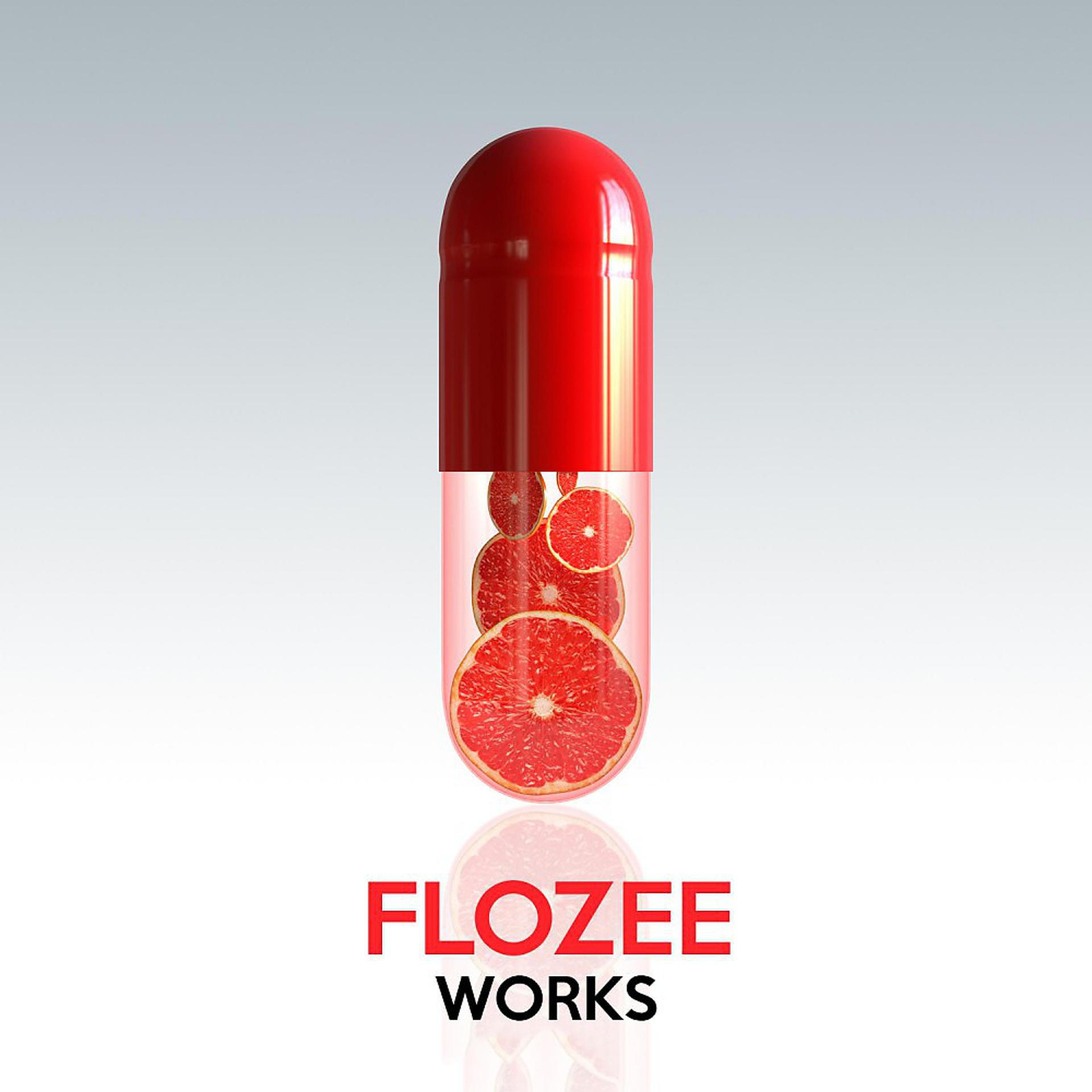 Постер альбома Flozee Works