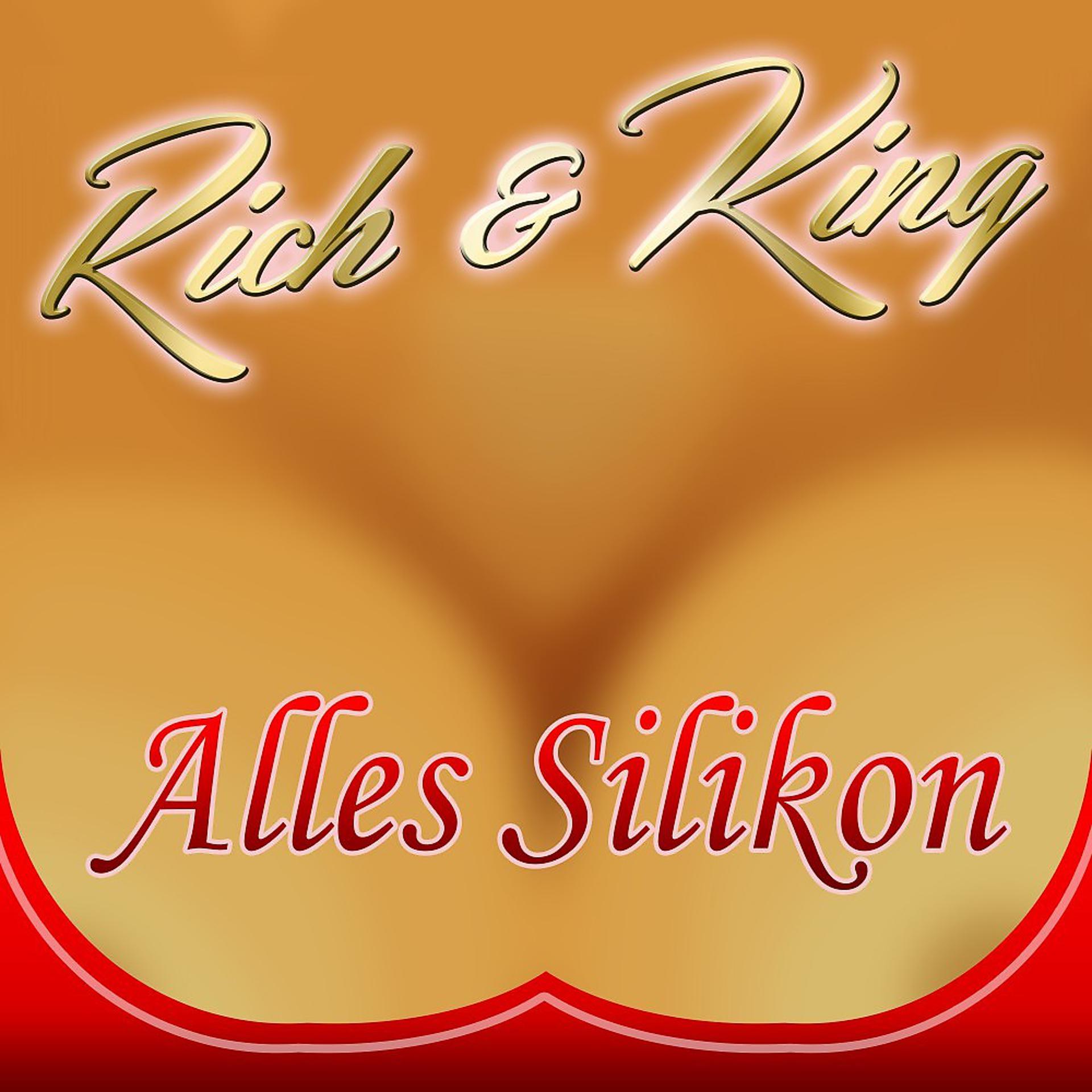Постер альбома Alles Silikon (Party Mix)