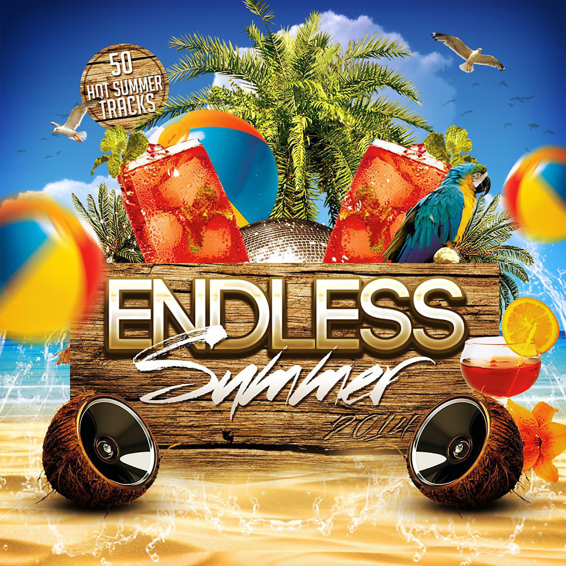 Постер альбома Endless Summer 2014