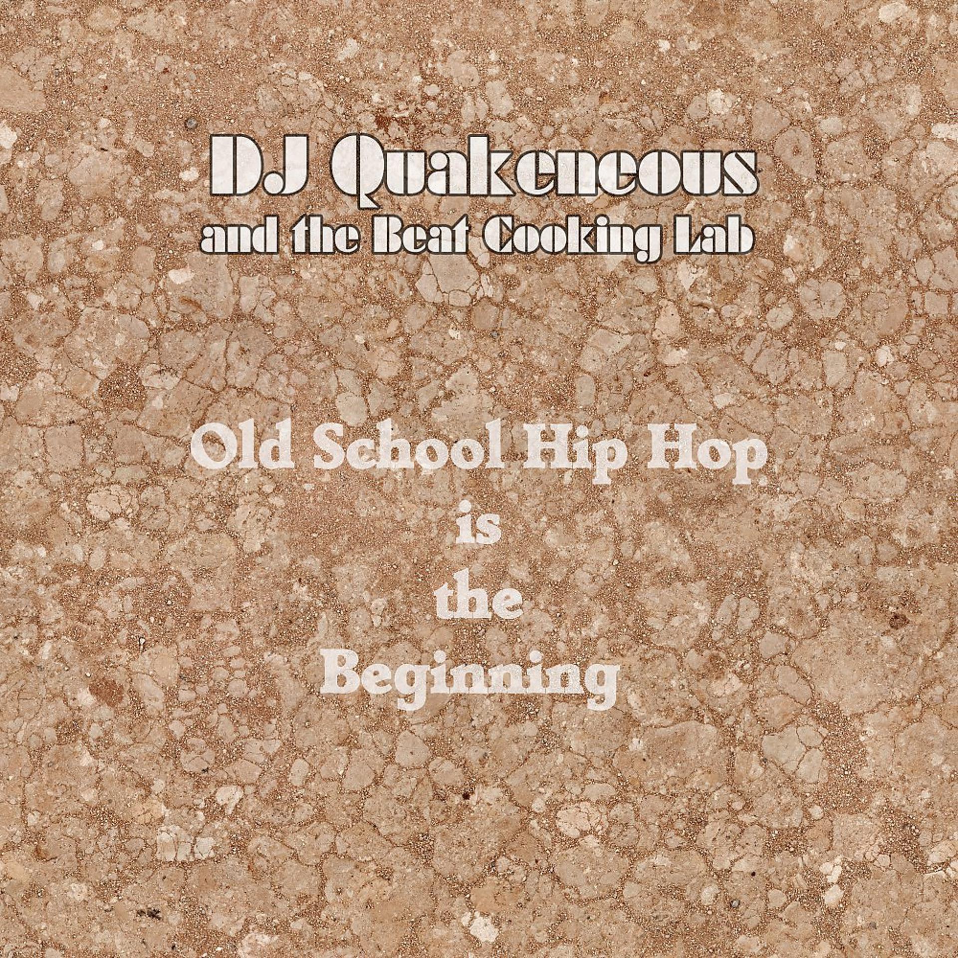 Постер альбома Old School Hip Hop Is the Beginning