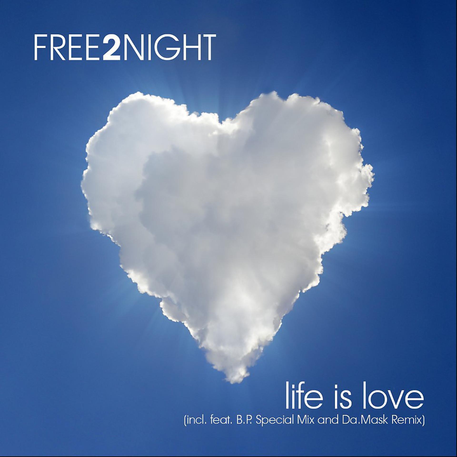 Постер альбома Life Is Love