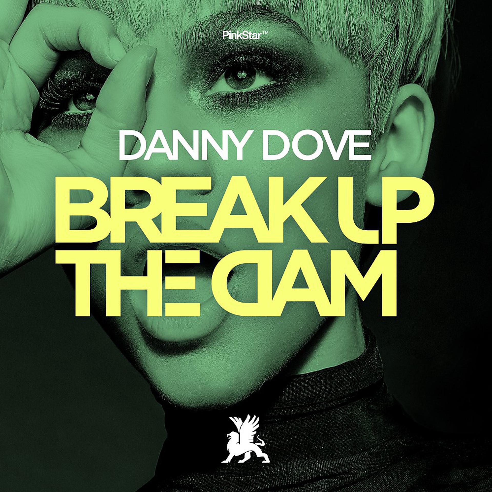 Постер альбома Break up the Dam