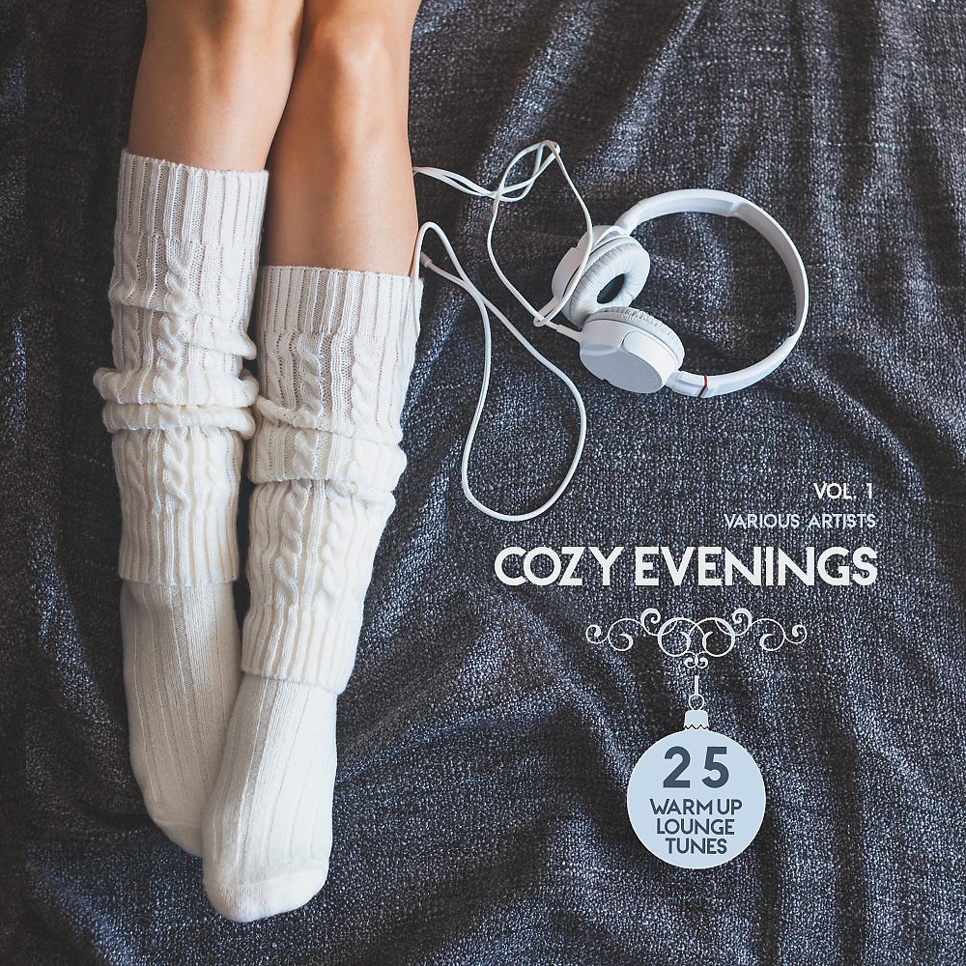 Постер альбома Cozy Evenings, Vol. 1 (25 Warm up Lounge Tunes)