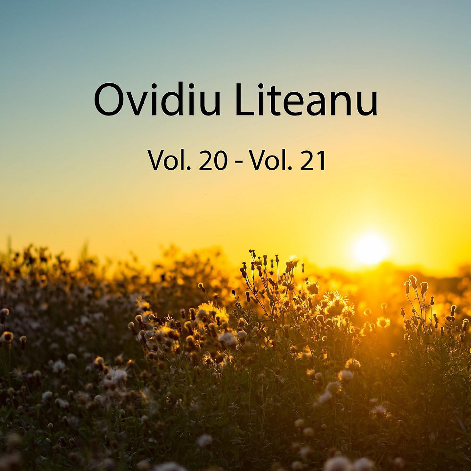 Постер альбома Ovidiu Liteanu, Vol. 20 - Vol. 21