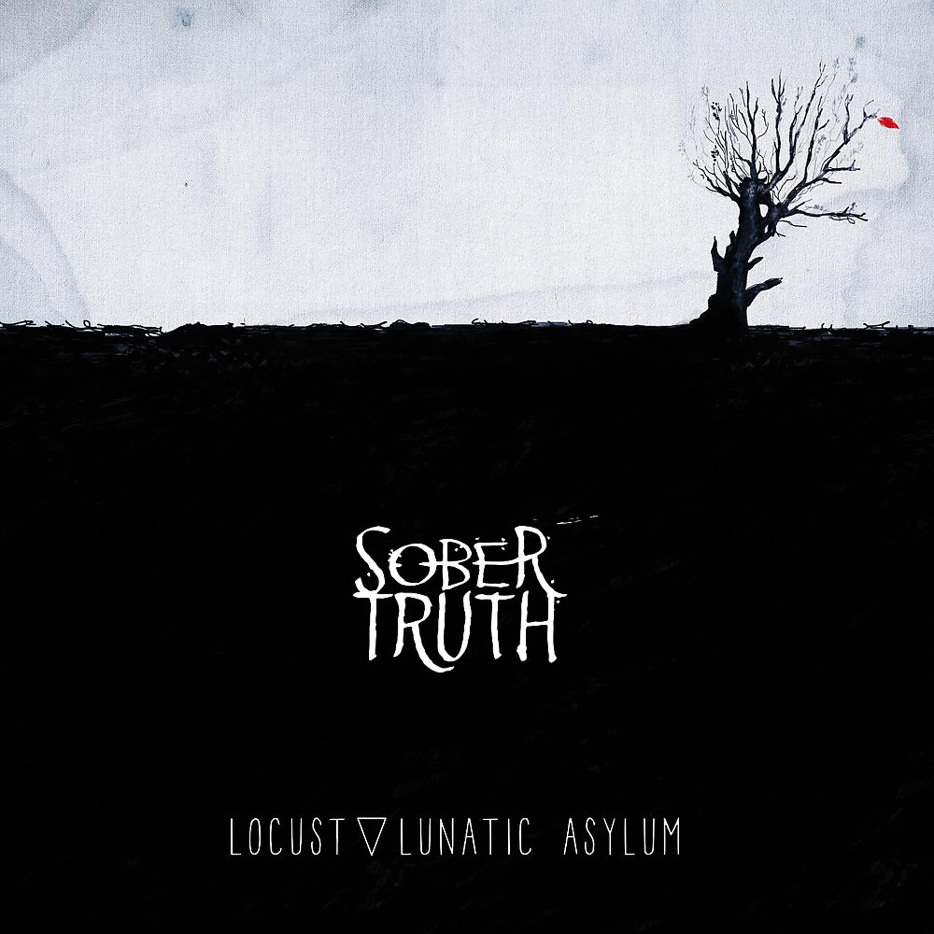 Постер альбома Locust Lunatic Asylum