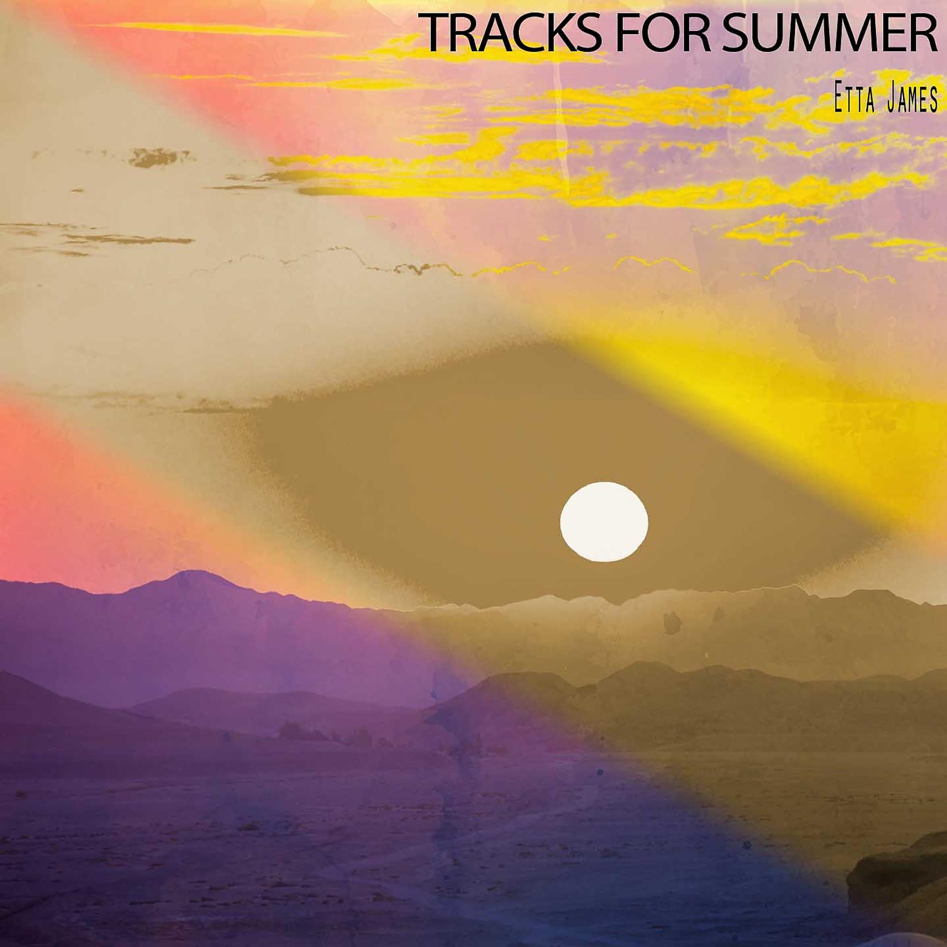 Постер альбома Tracks for Summer