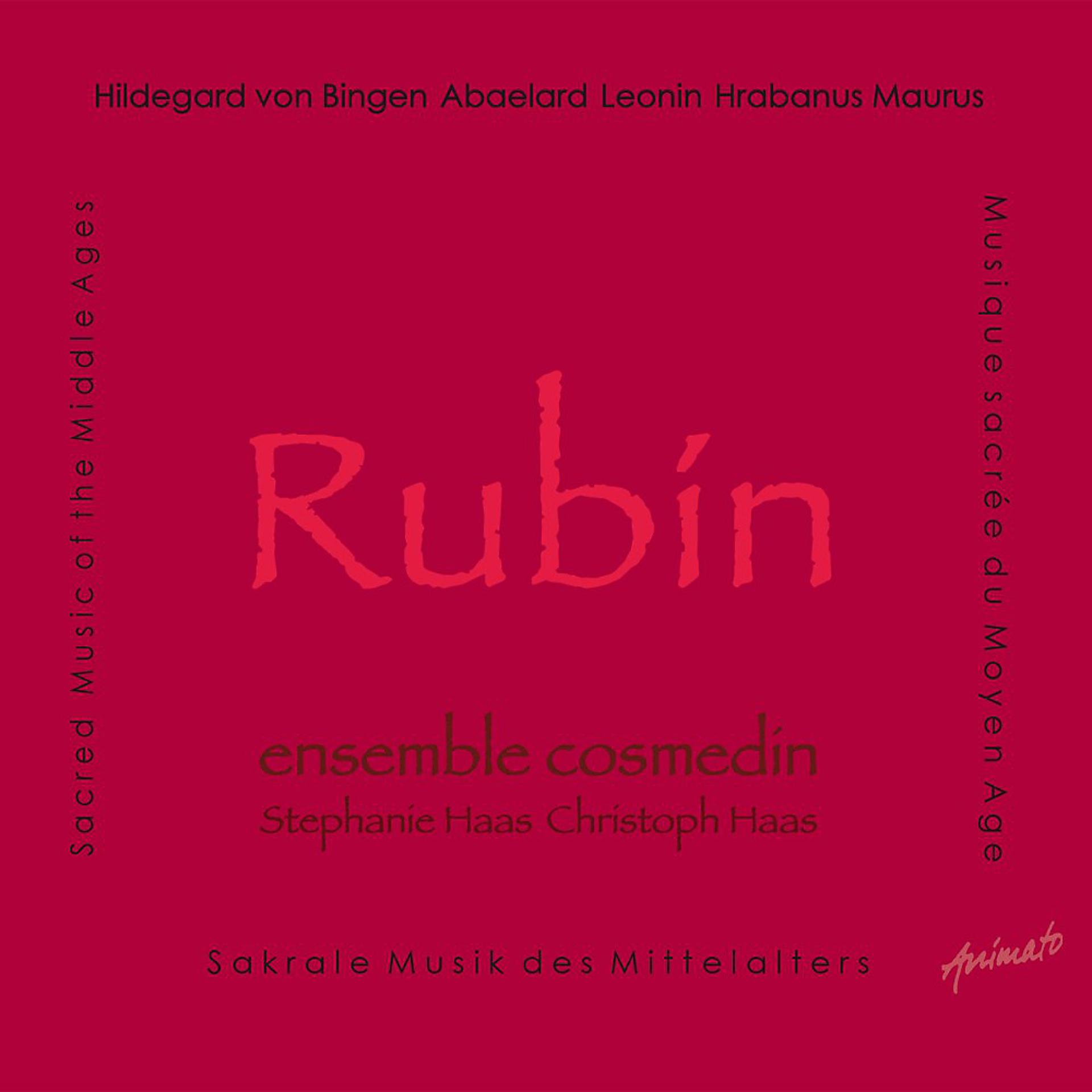Постер альбома Rubin